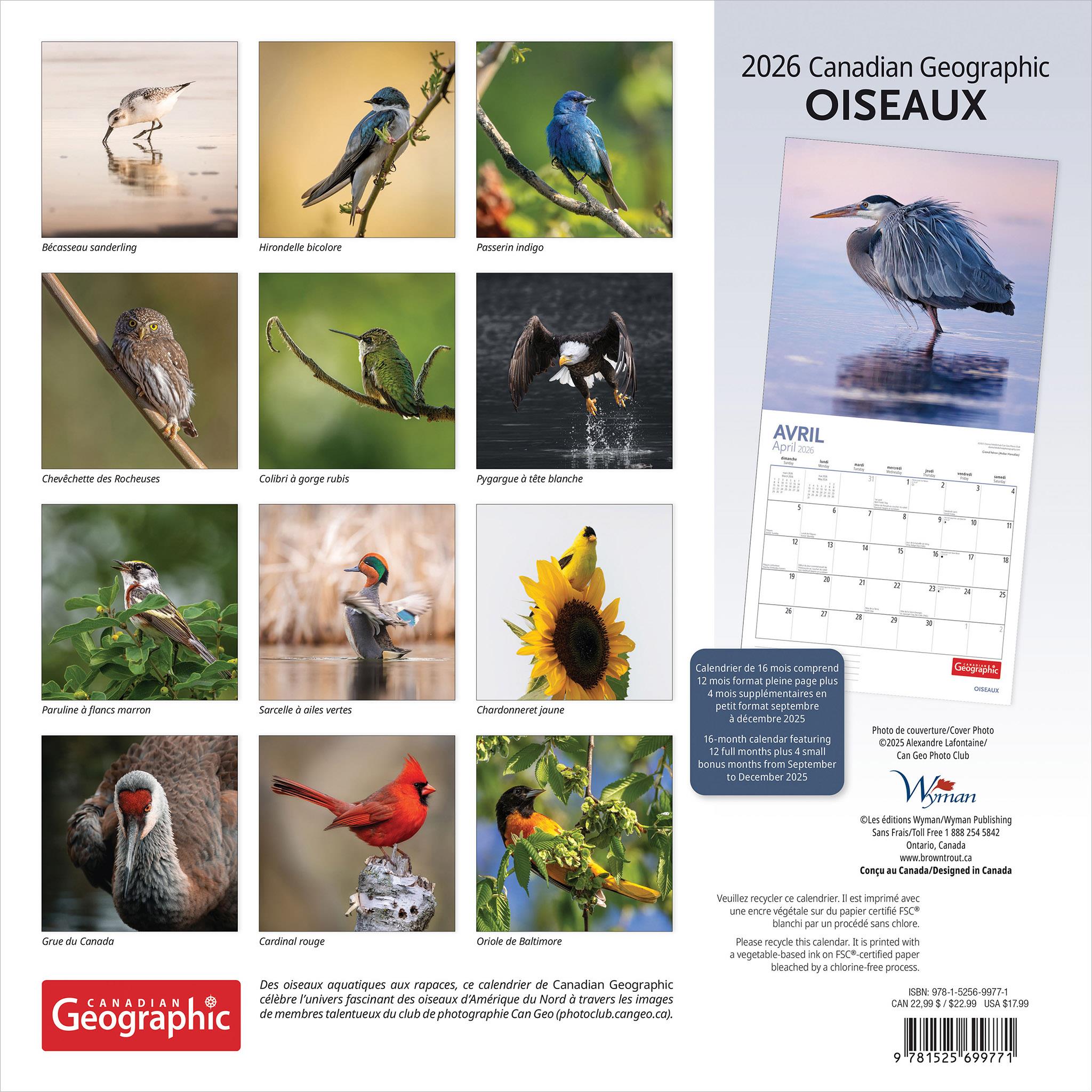 Canadian Geographic Oiseaux 2026 Wall Calendar (French)