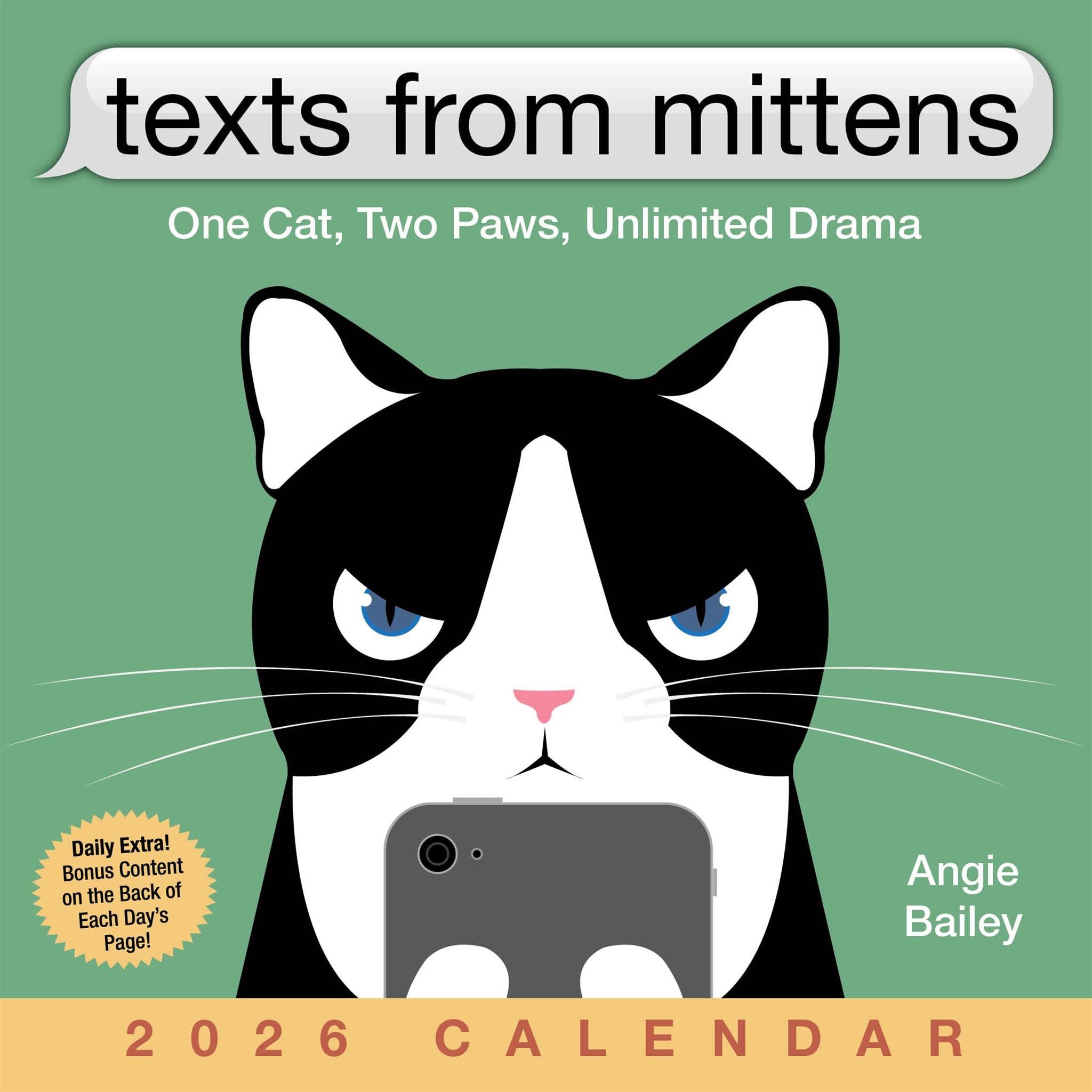 Texts From Mittens The Cat 2026 Box Calendar