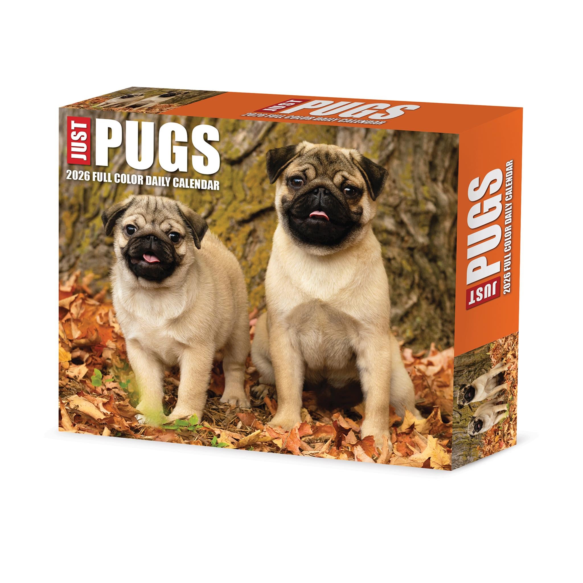Just Pugs 2026 Box Calendar - Online Only