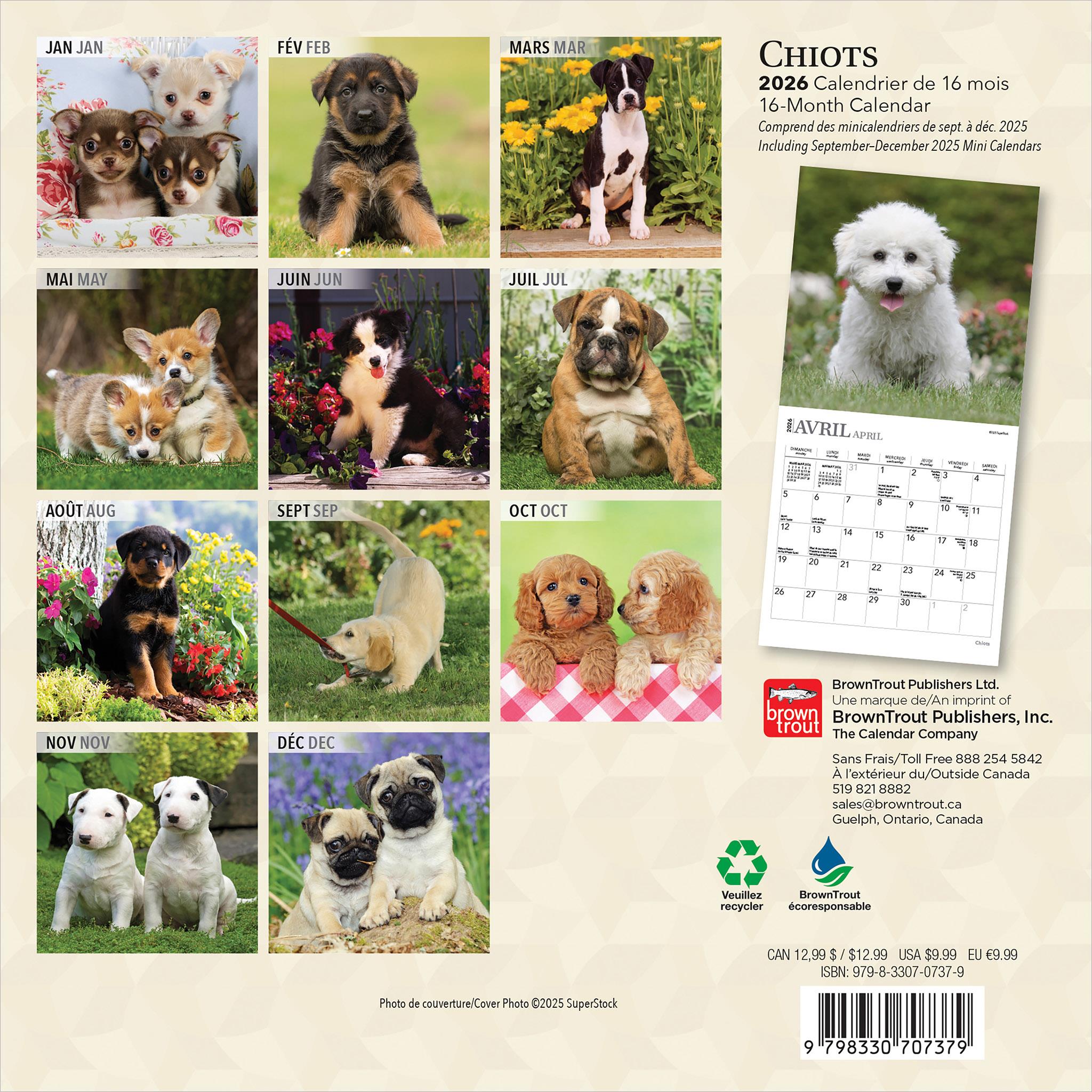 Chiots 2026 Mini Calendar (French)