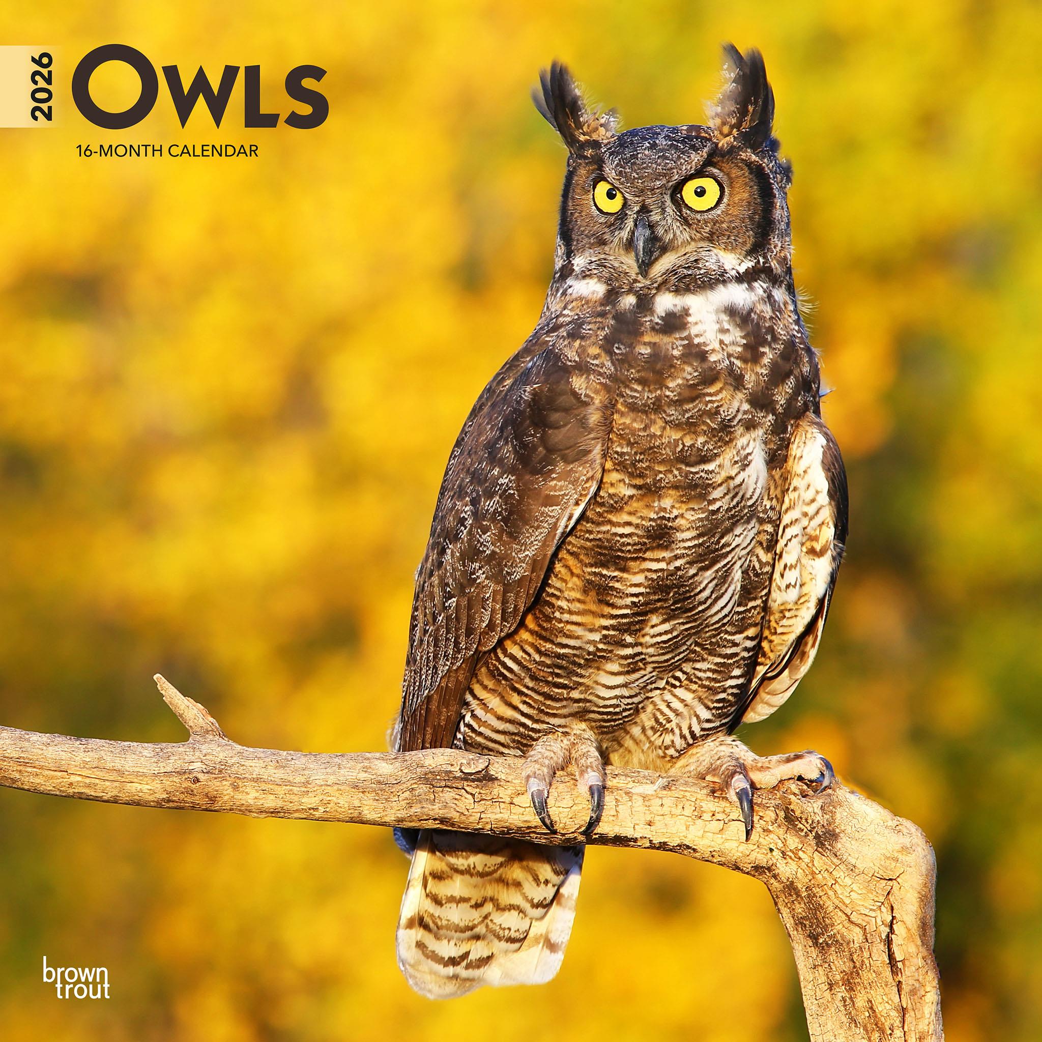 Owls 2026 Wall Calendar - Online Only