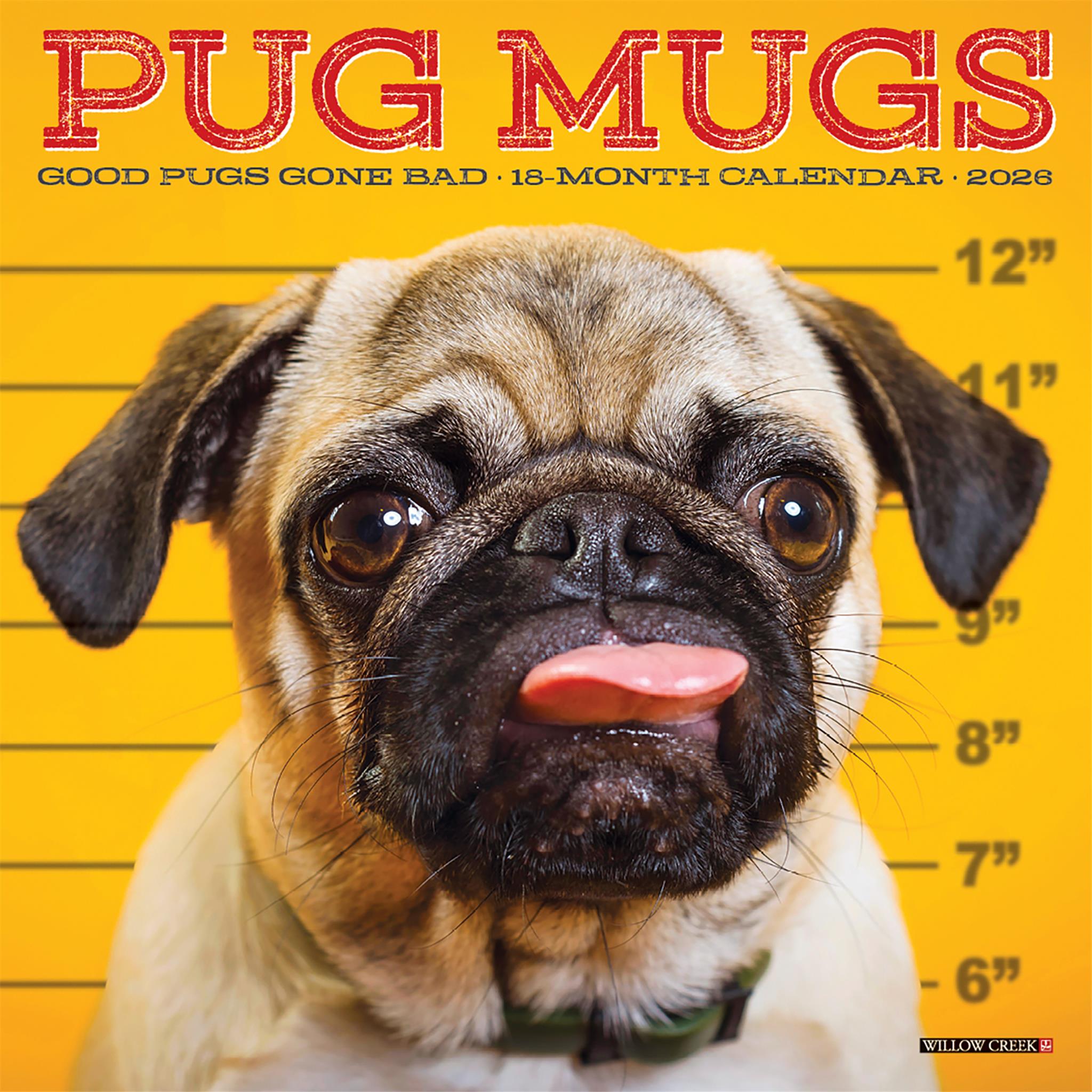 Pug Mugs 2026 Mini Calendar