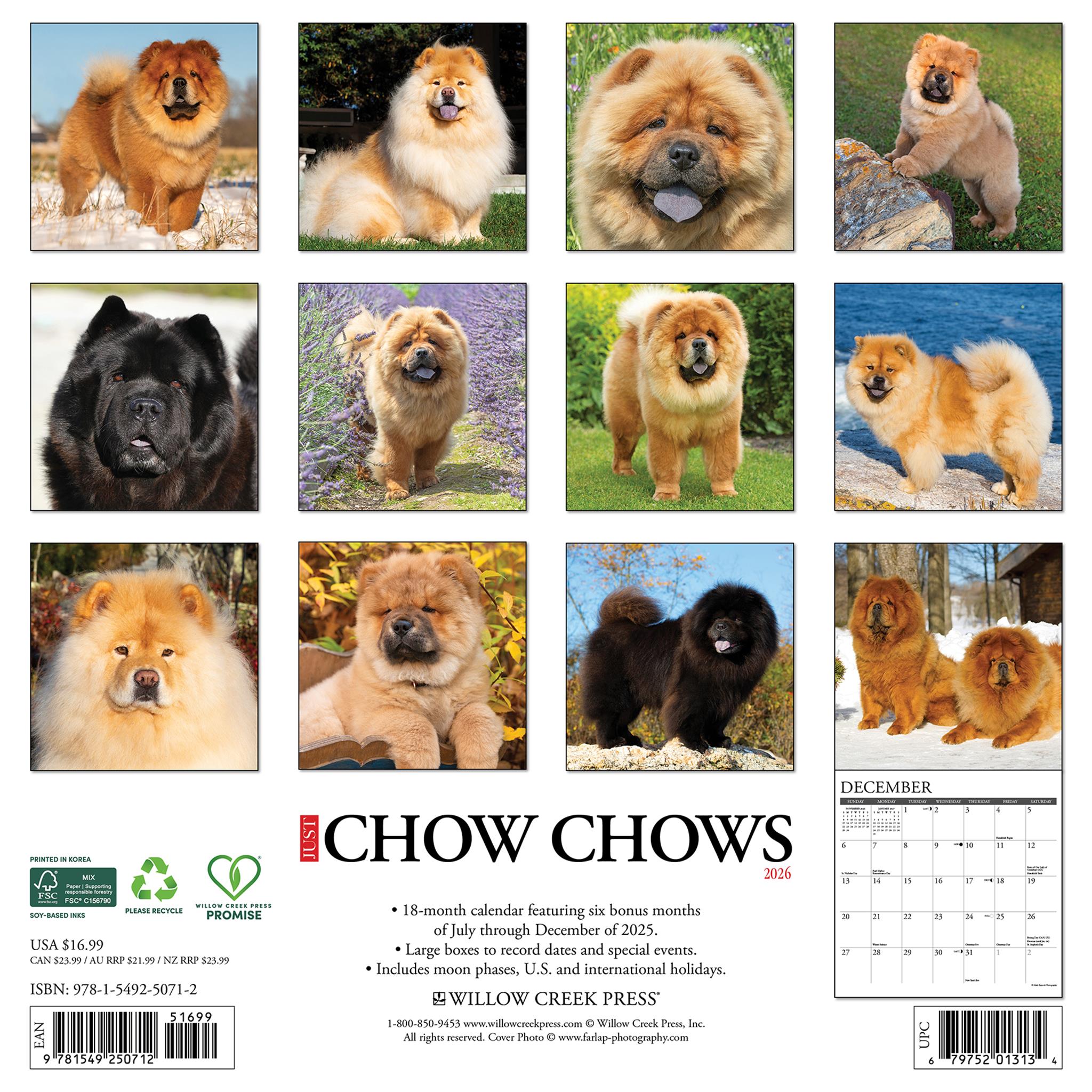 Just Chow Chows 2026 Wall Calendar