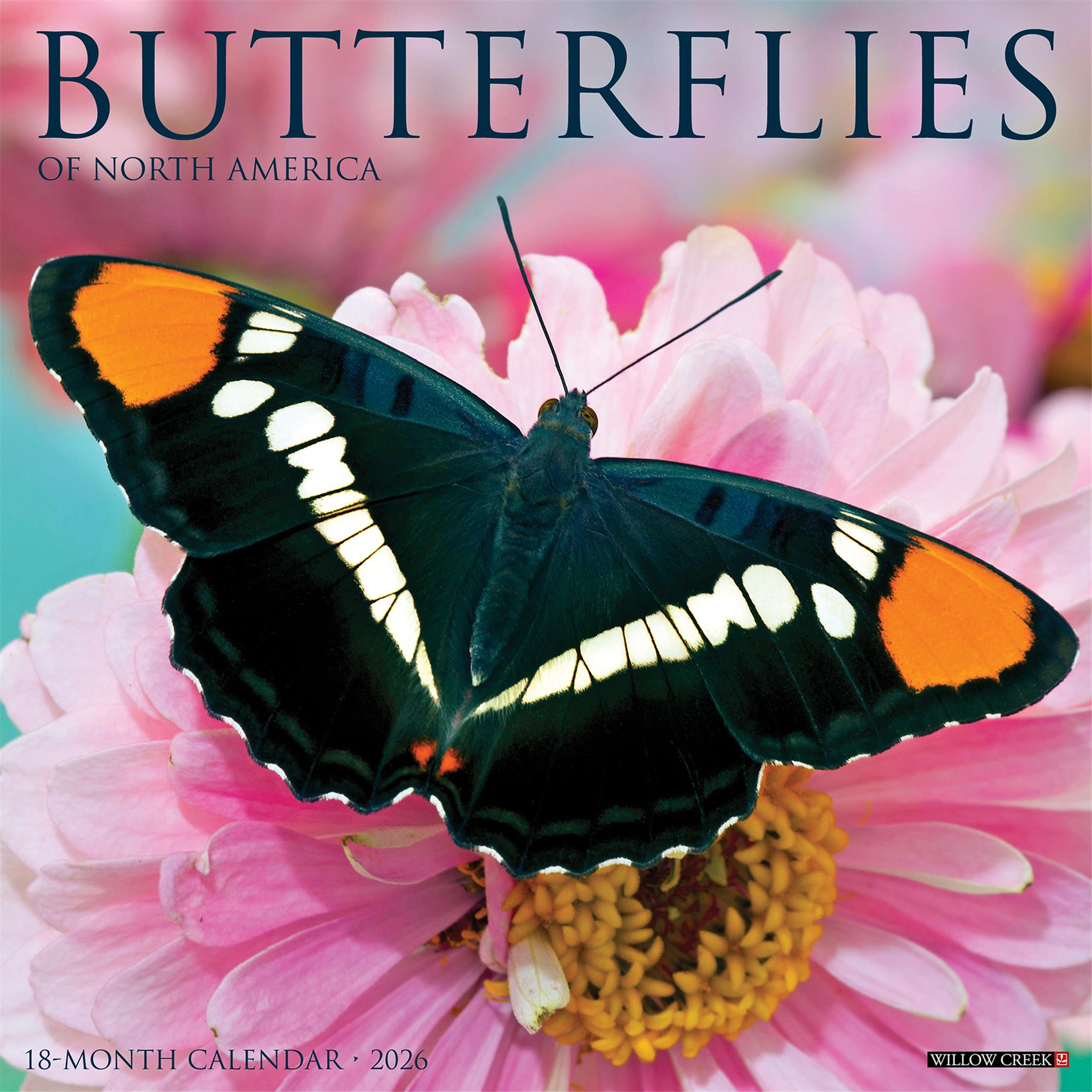 Butterflies Of North America 2026 Wall Calendar