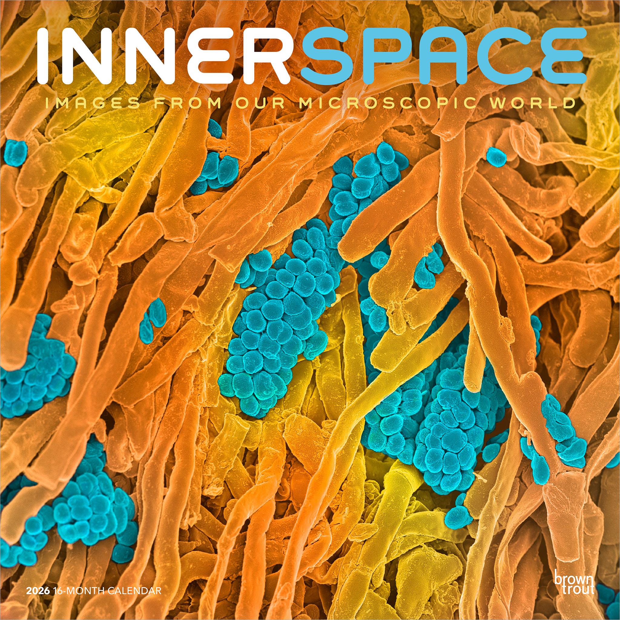 Innerspace 2026 Wall Calendar - Online Only