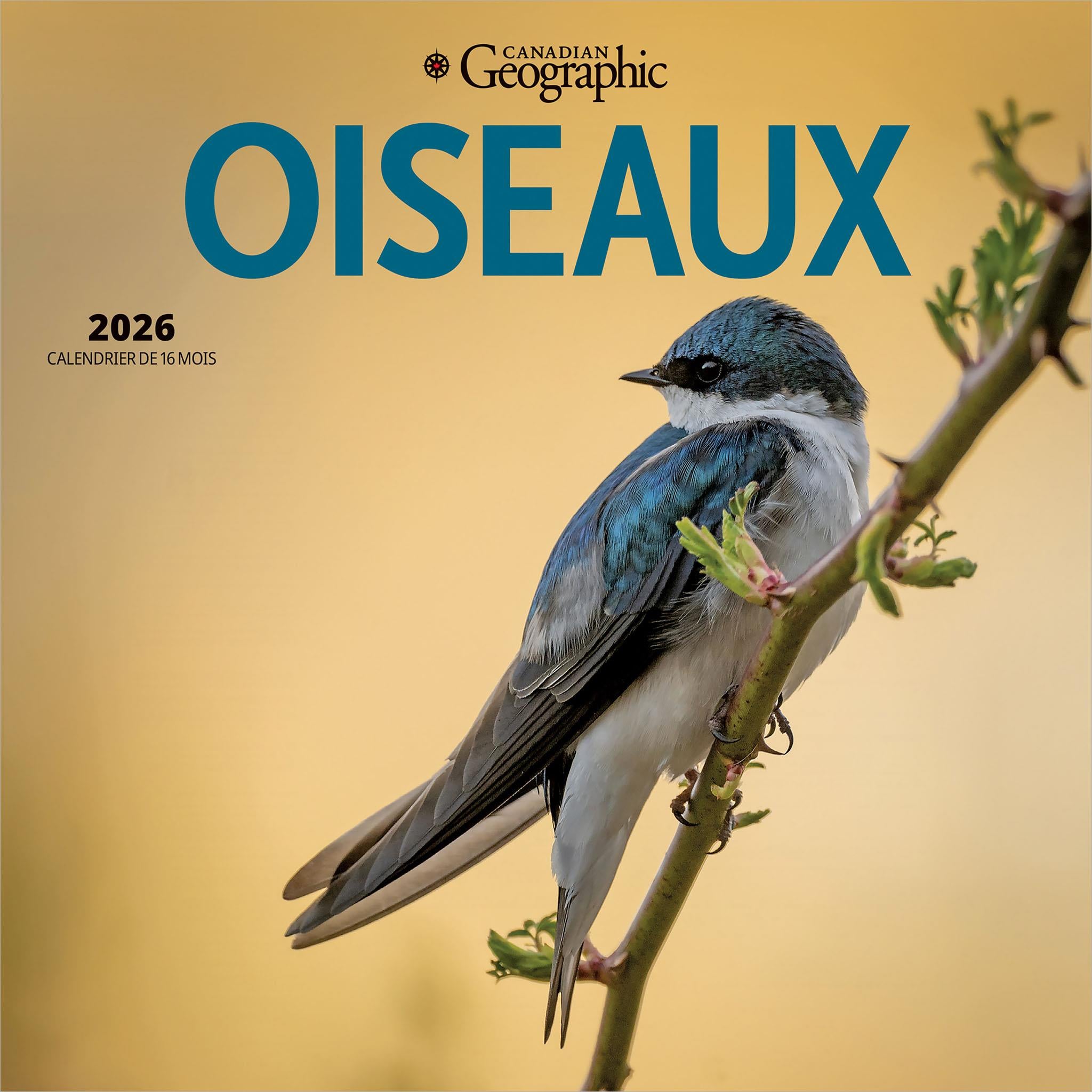 Canadian Geographic Oiseaux 2026 Mini Calendar (French)