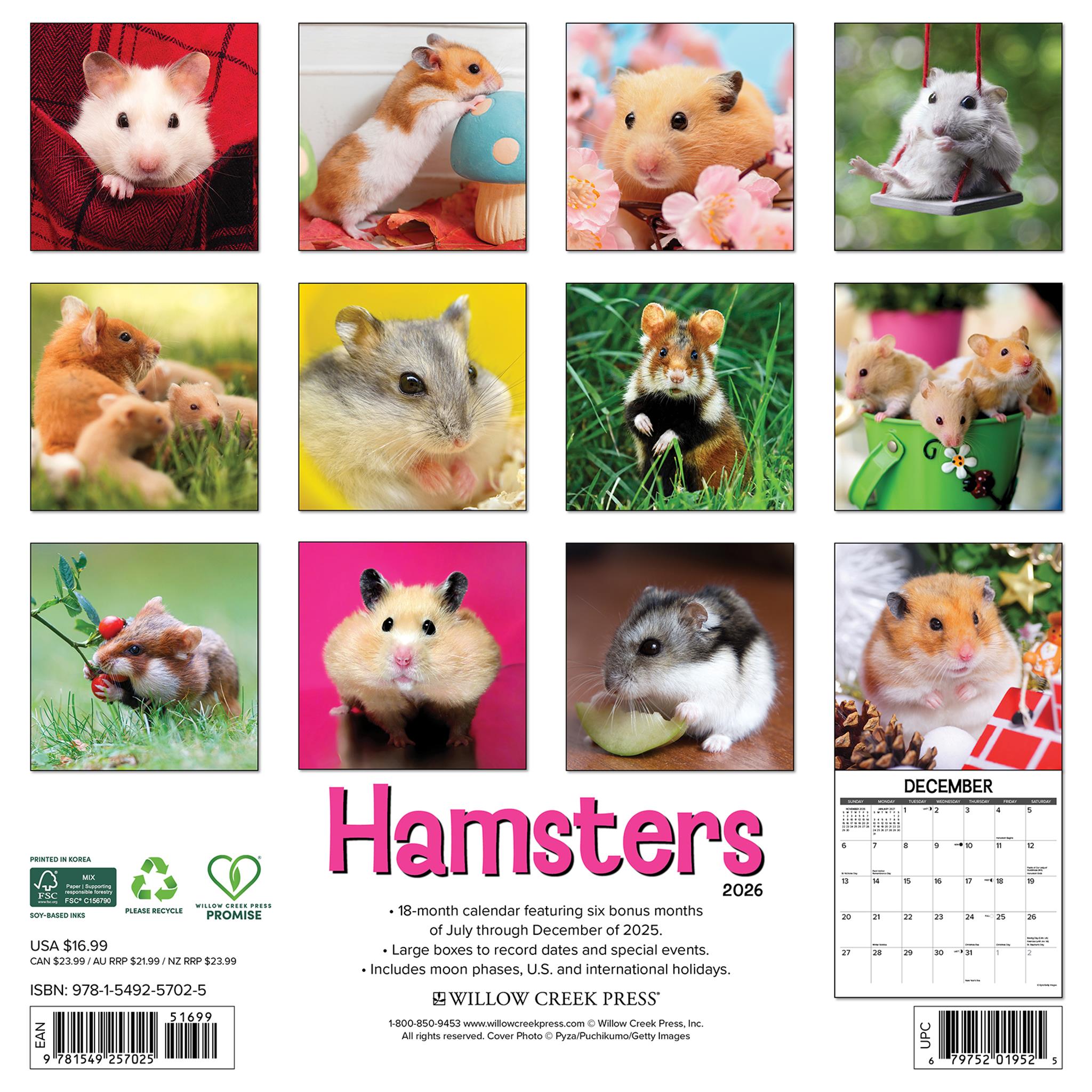 Hamsters 2026 Wall Calendar