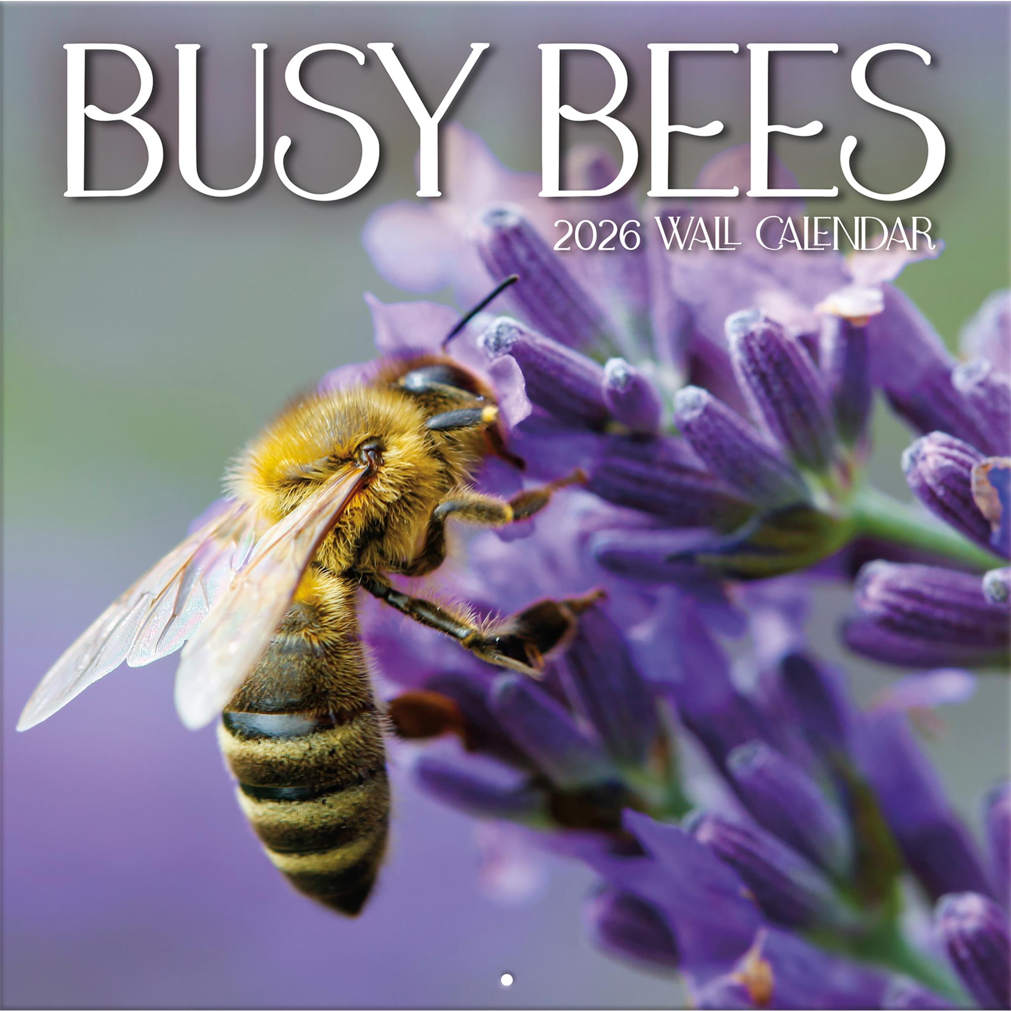 Busy Bees 2026 Wall Calendar