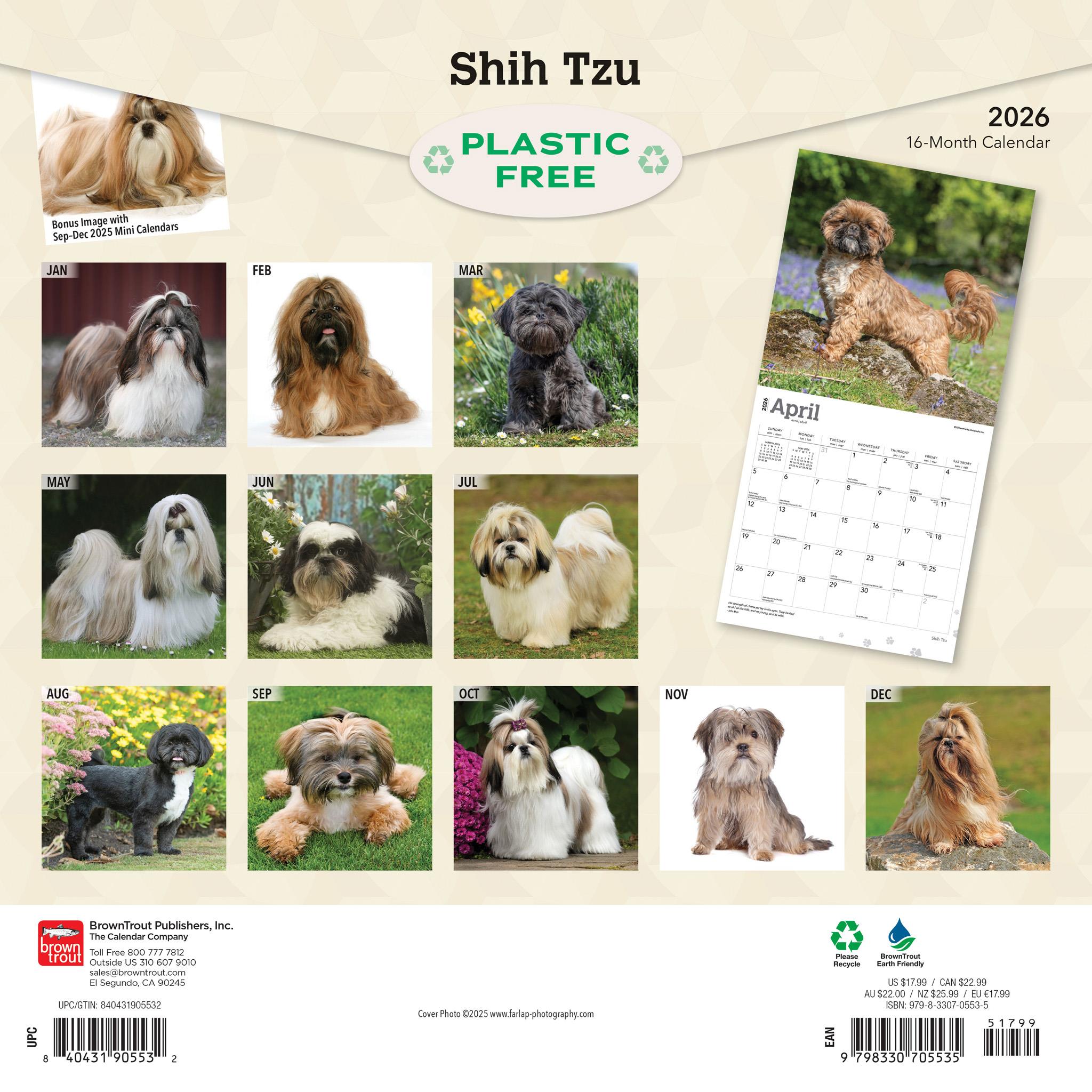 Shih Tzu 2026 Wall Calendar