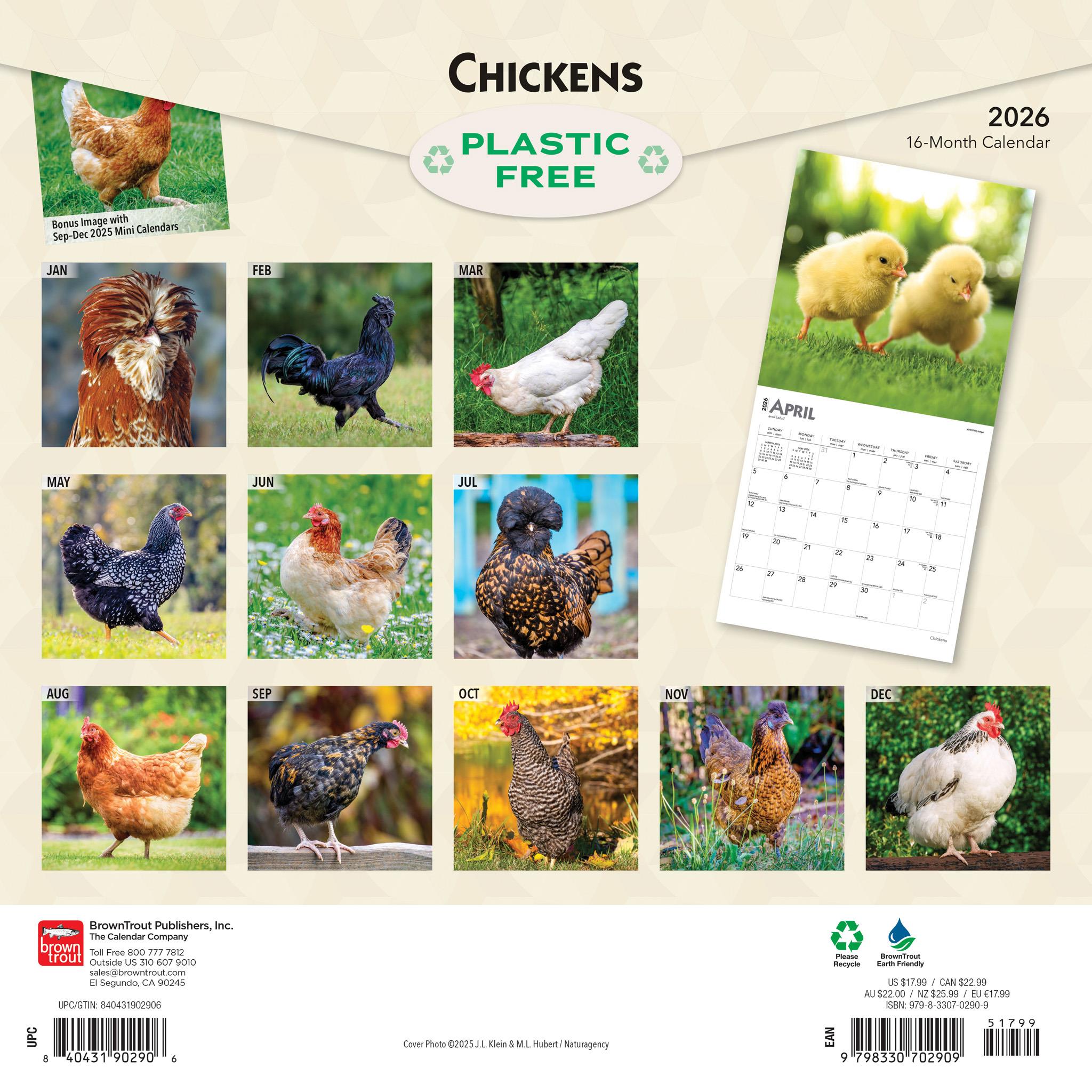 Chickens 2026 Wall Calendar - Online Only