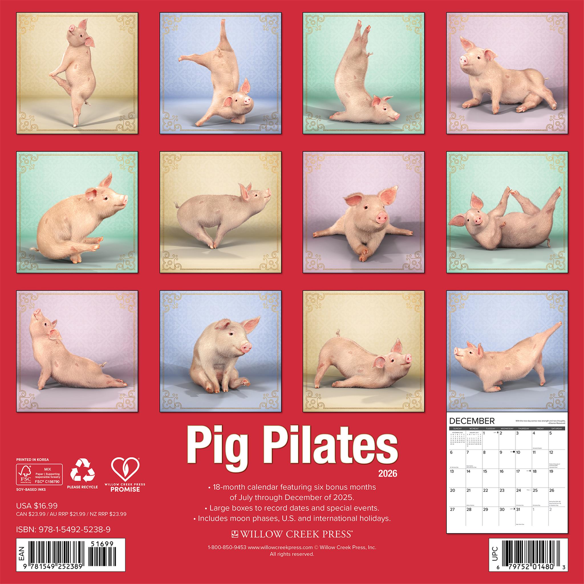 Pig Pilates 2026 Wall Calendar