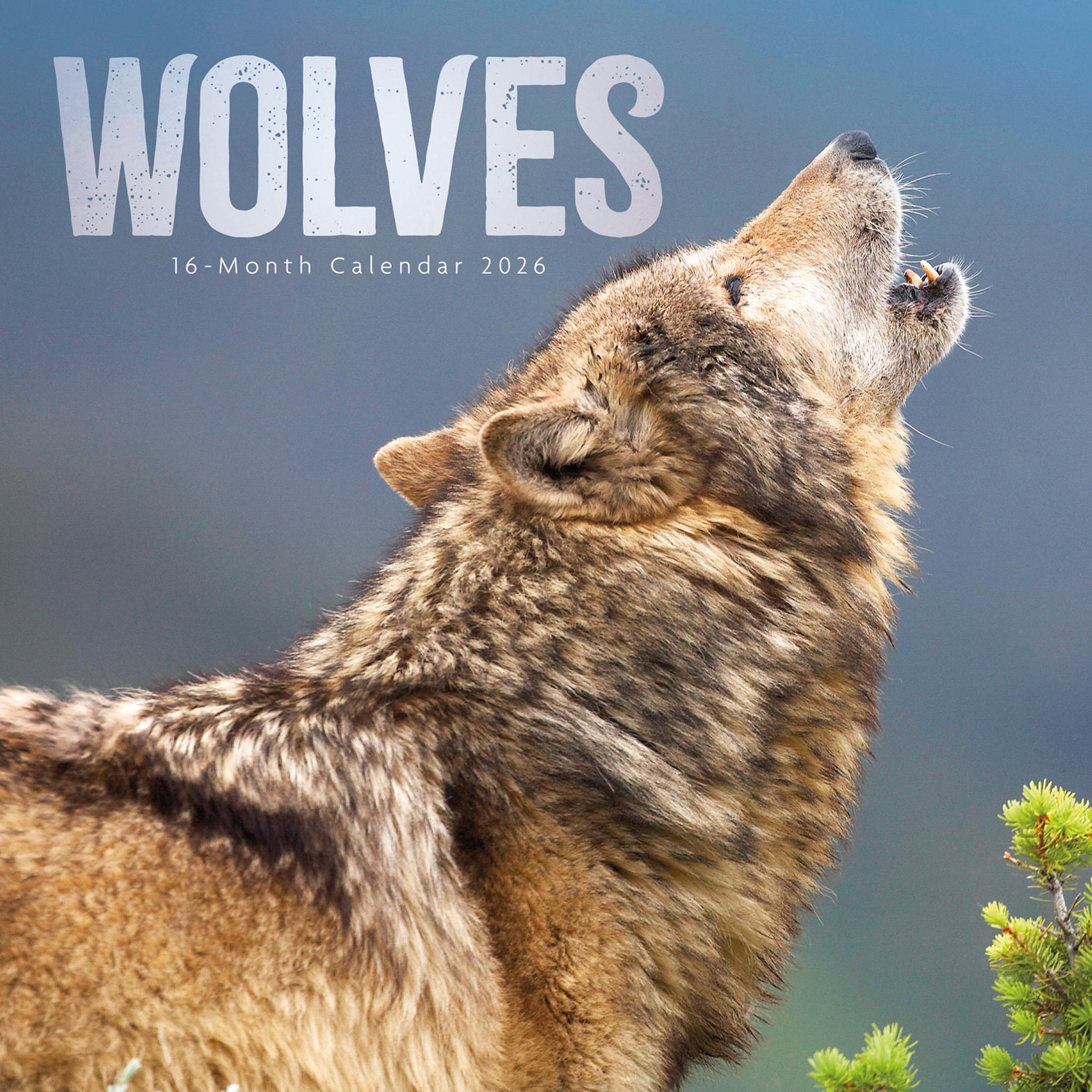 Wolves 2026 Wall Calendar - Calendar Club Canada
