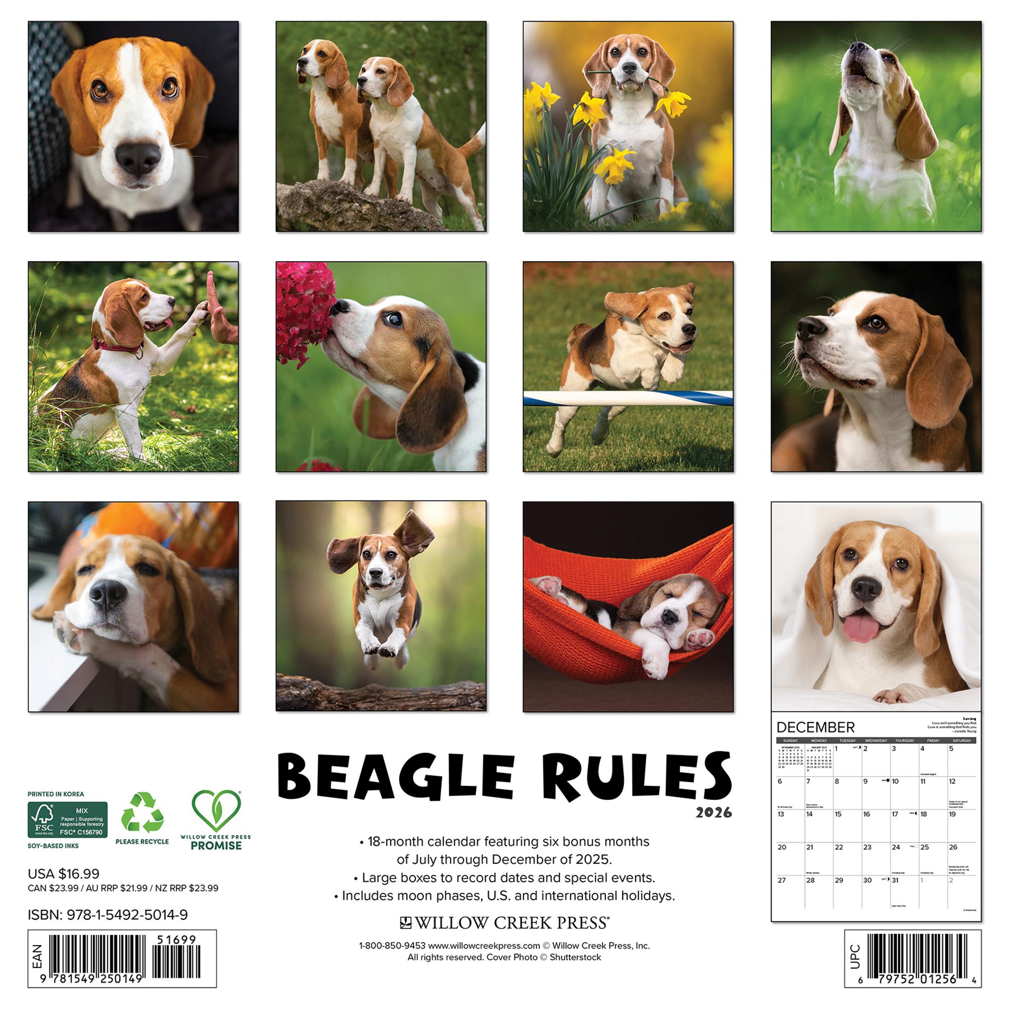Beagle Rules 2026 Wall Calendar - Online Only