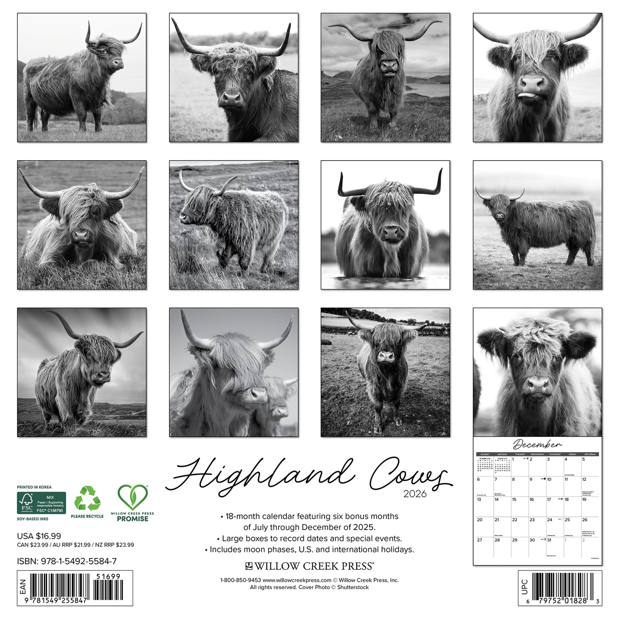 Highland Cows Black and White 2026 Wall Calendar