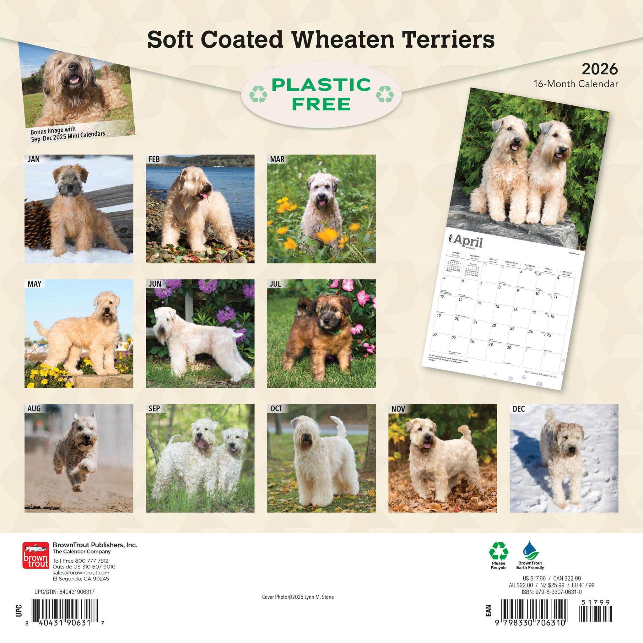 Soft Coated Wheaten Terriers 2026 Wall Calendar