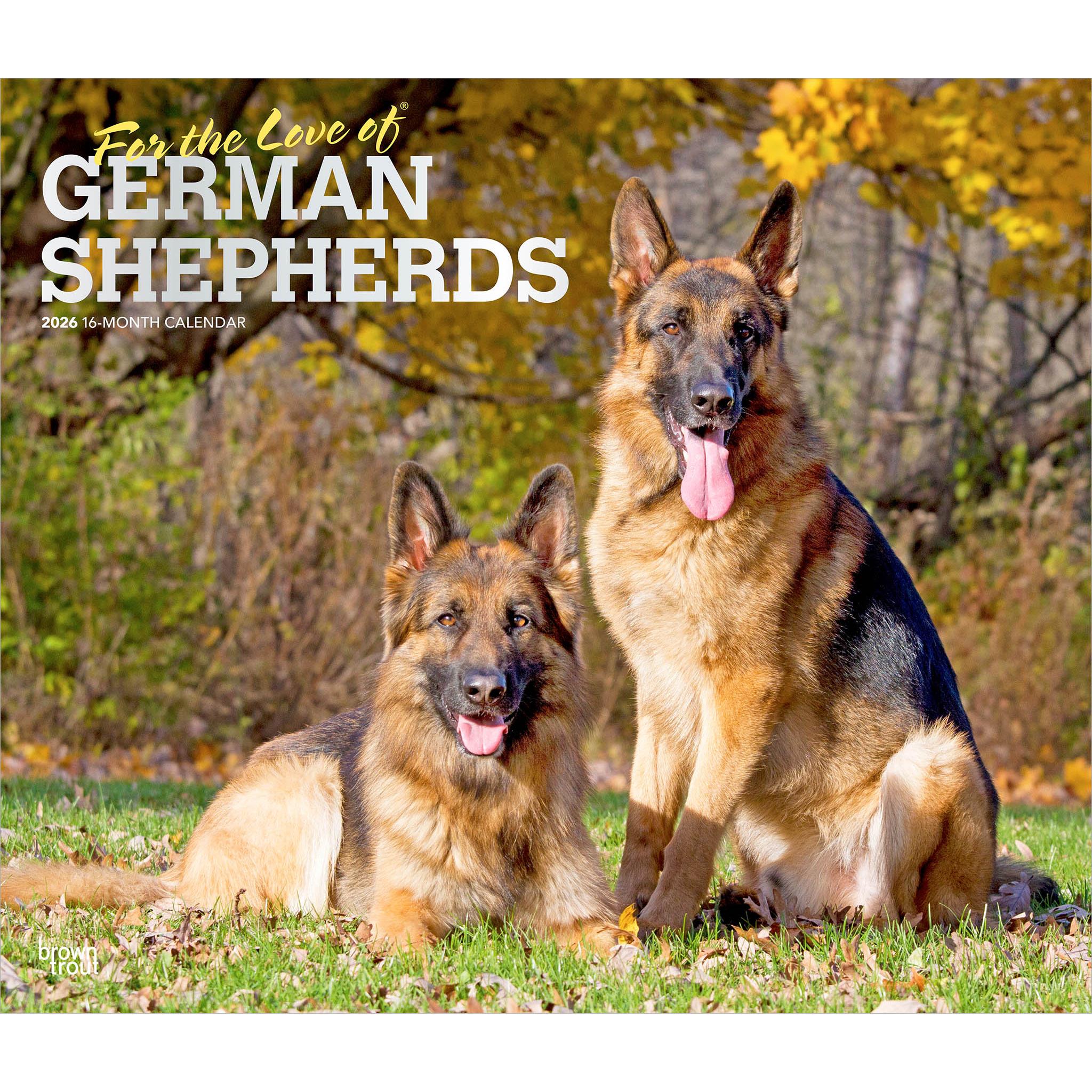 For The Love Of German Shepherds 2026 Wall Calendar 0BD160B2 13A6 4199 98E0