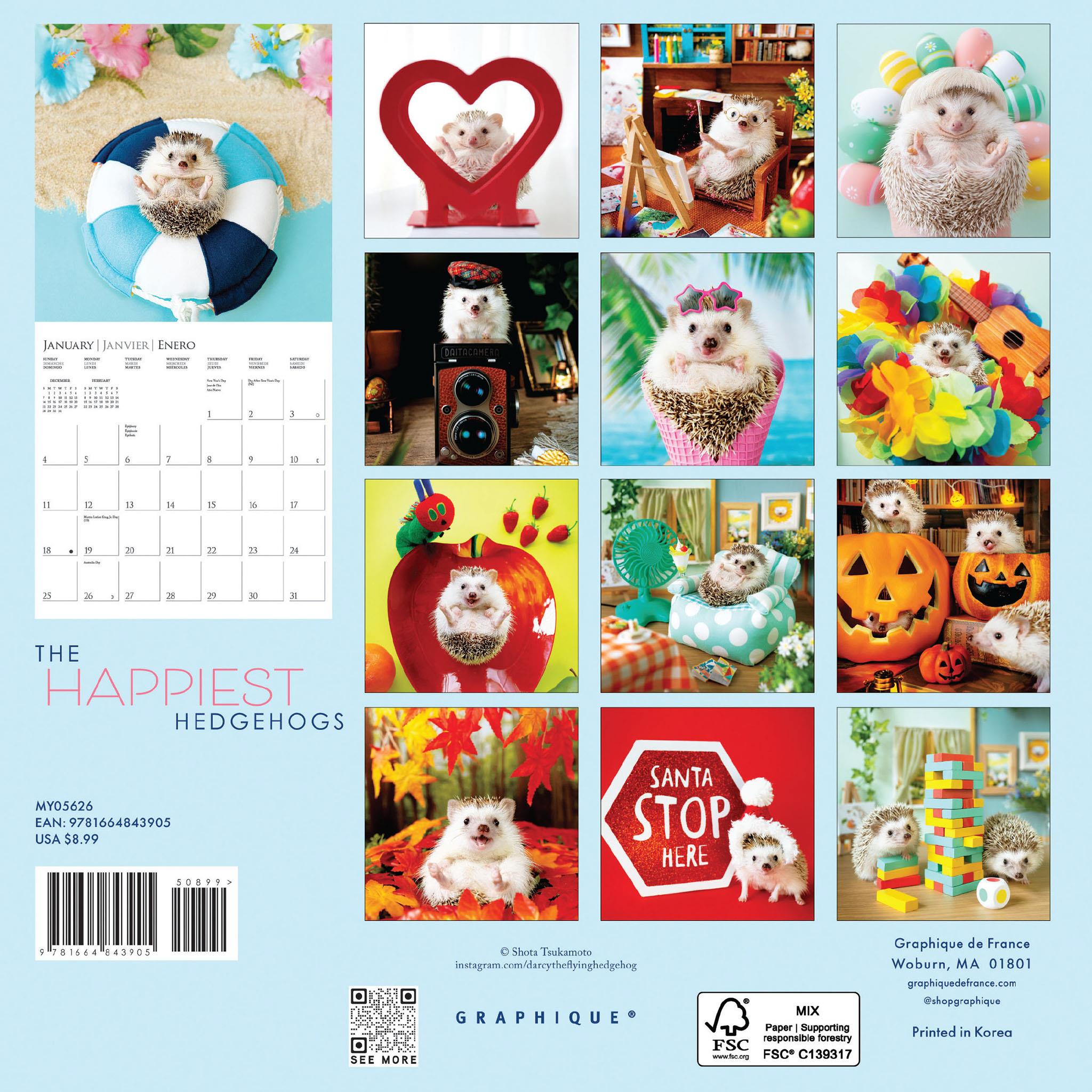 Happiest Hedgehogs 2026 Mini Calendar