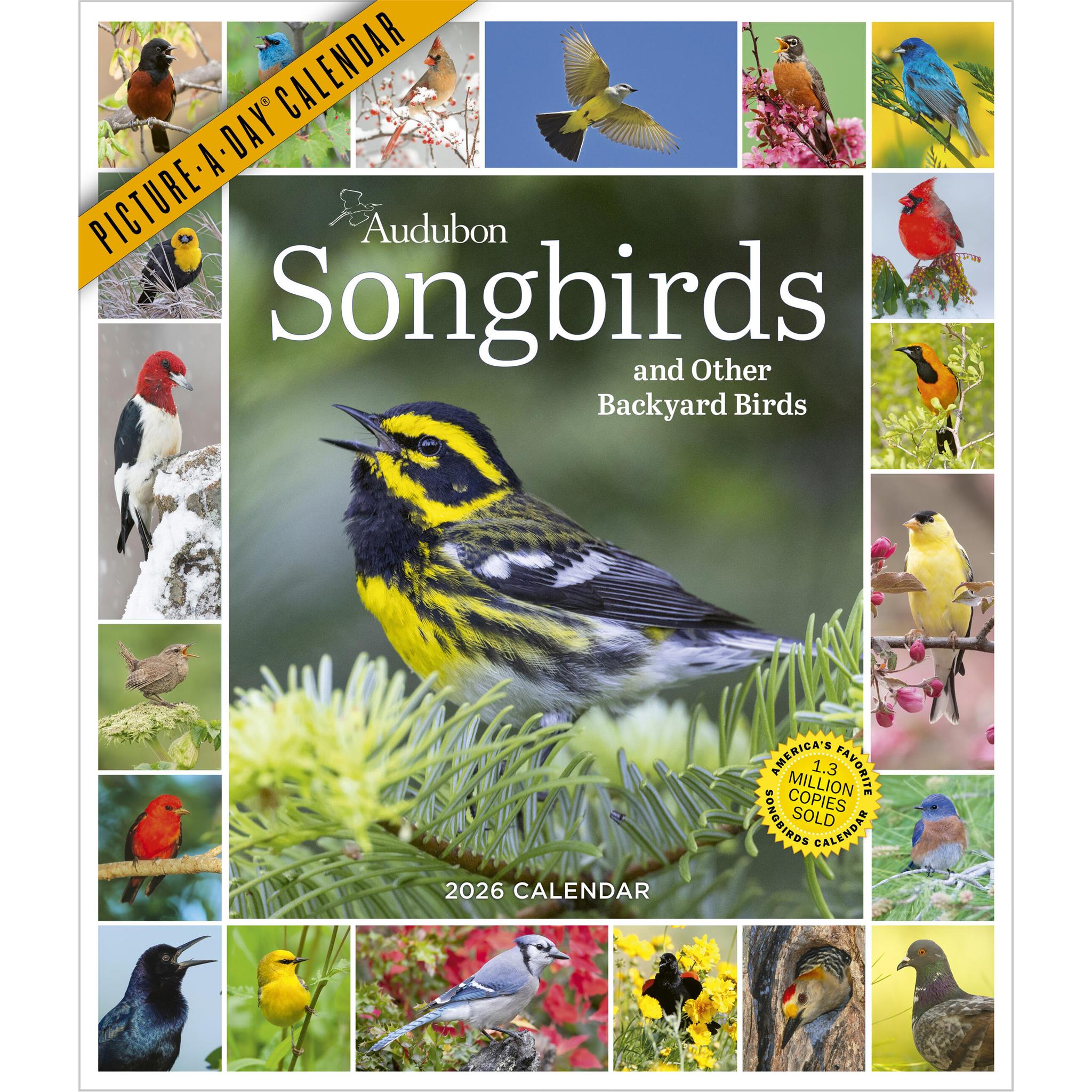Audubon Songbirds 365 2026 Wall Calendar