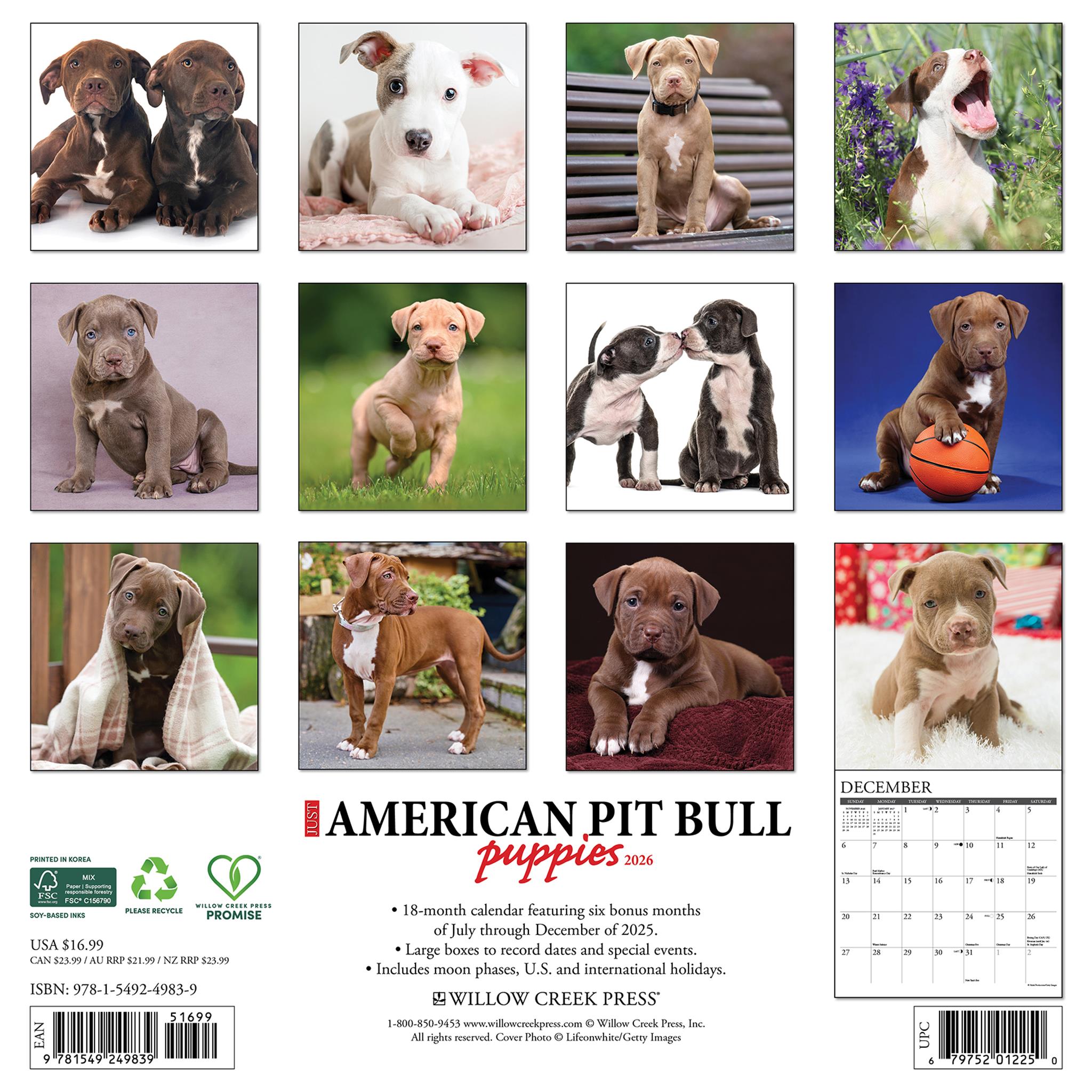 Just American Pit Bull Terrier Puppies 2026 Wall Calendar - Online Only