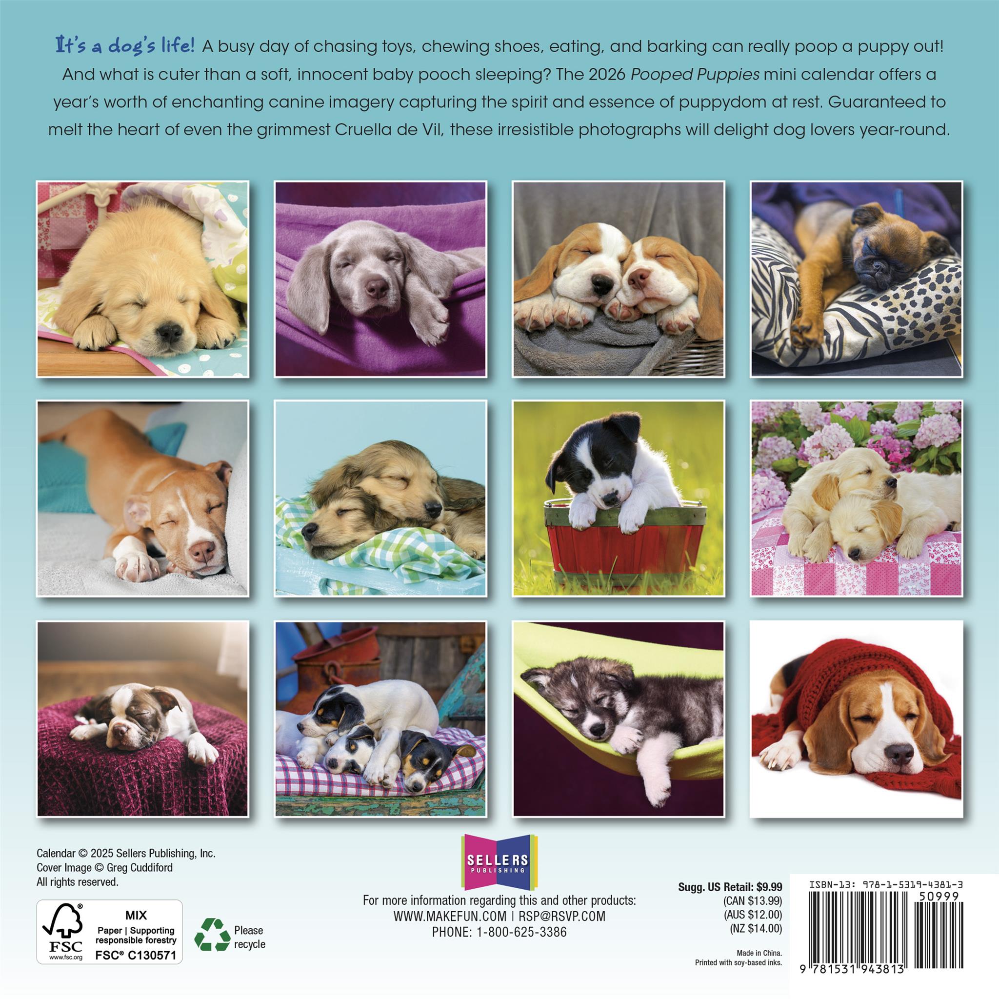 Pooped Puppies 2026 Mini Calendar