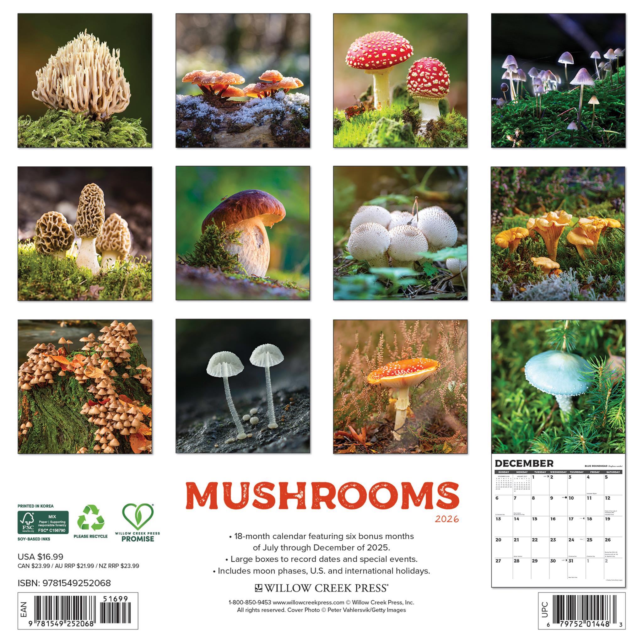 Mushroom The Art Of The 2026 Wall Calendar - Online Only