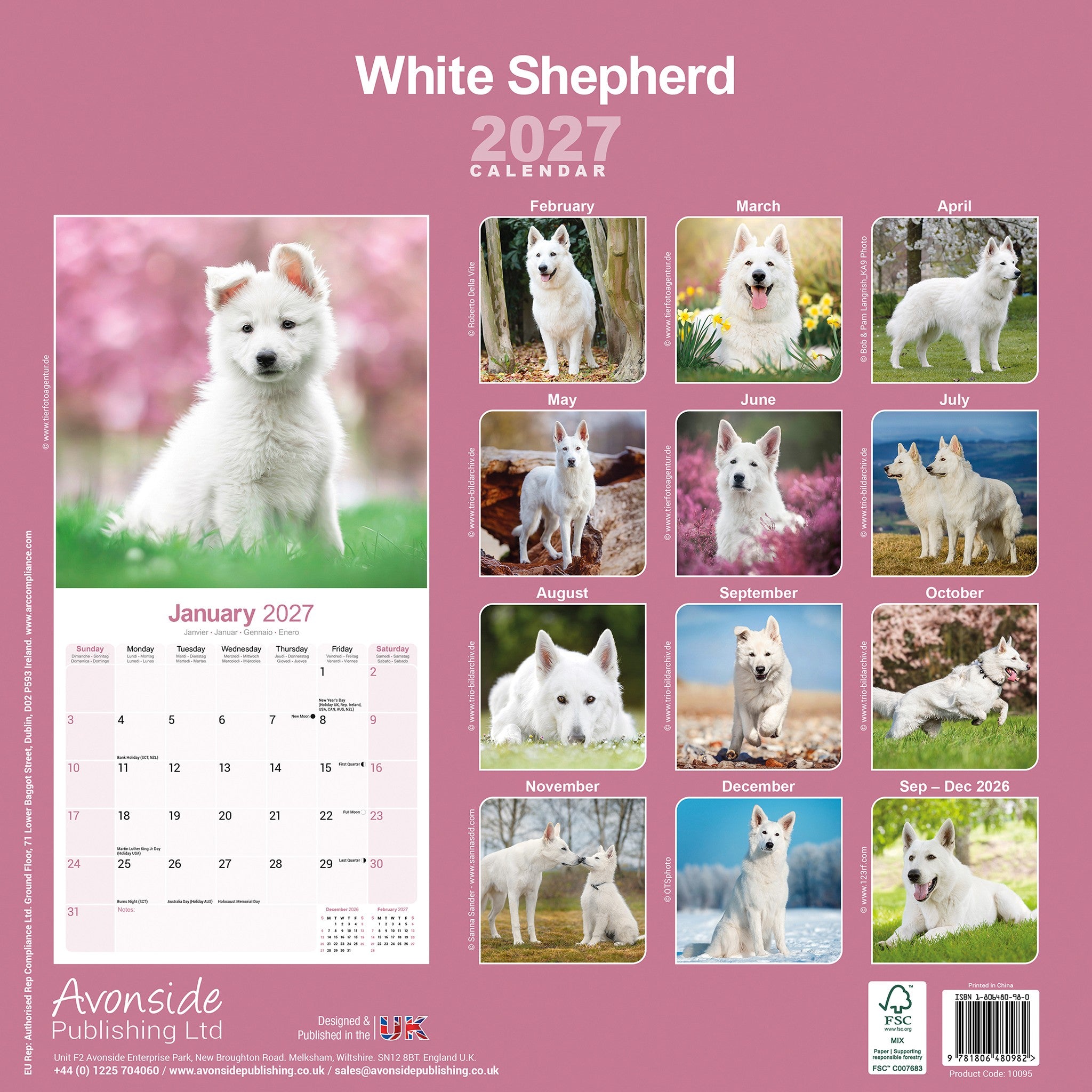 White Shepherd 2027 Wall Calendar - Online Only