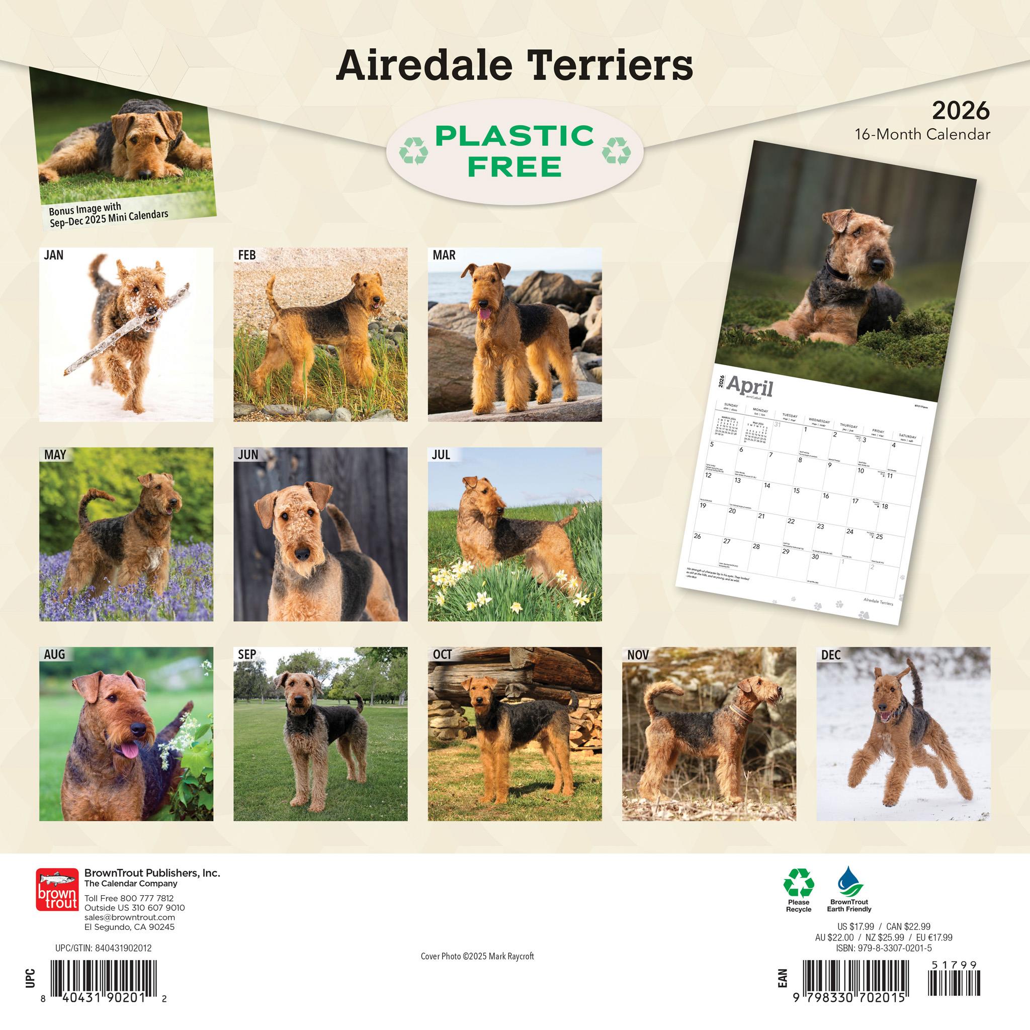 Airedale Terriers 2026 Wall Calendar
