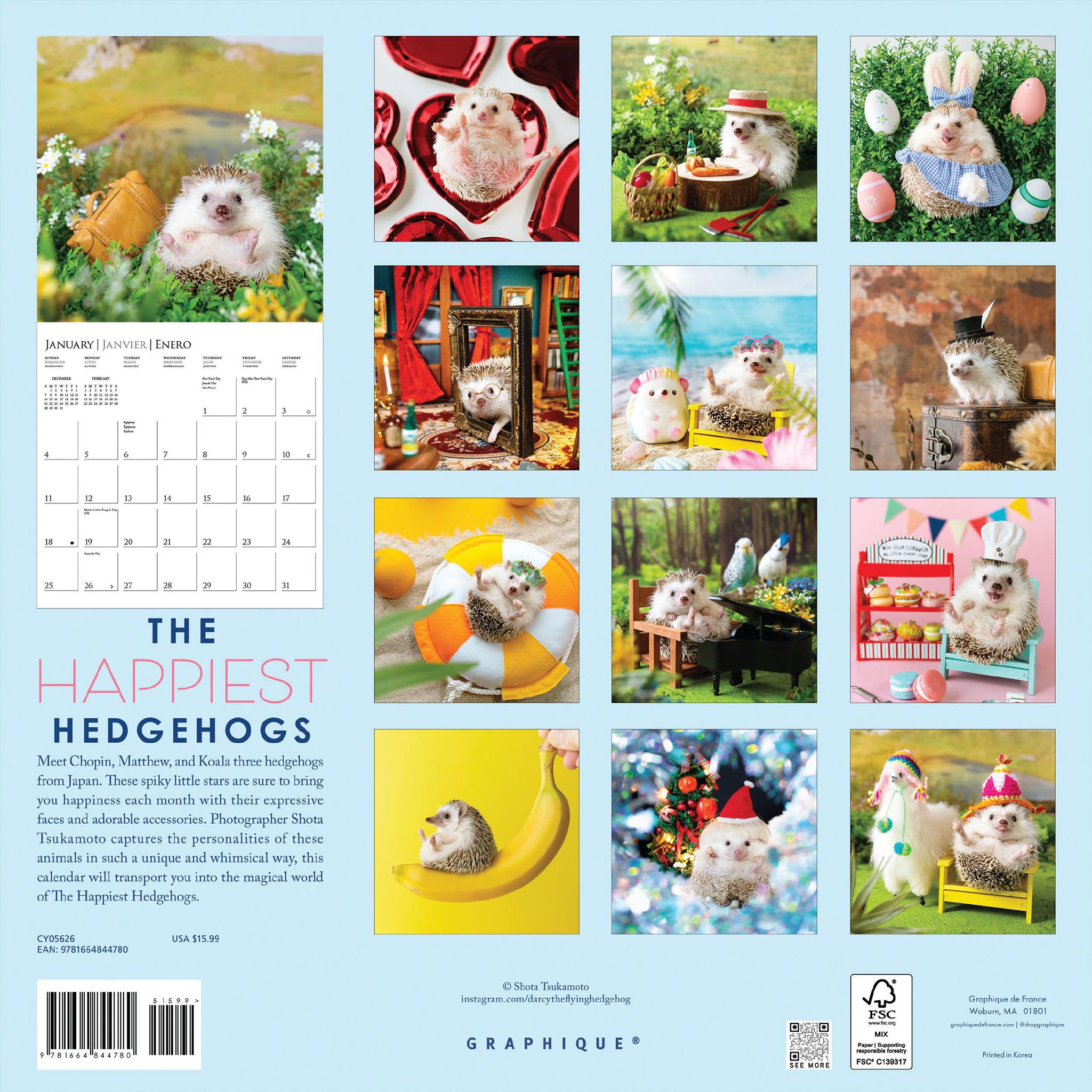 Happiest Hedgehogs 2026 Wall Calendar - Online Only