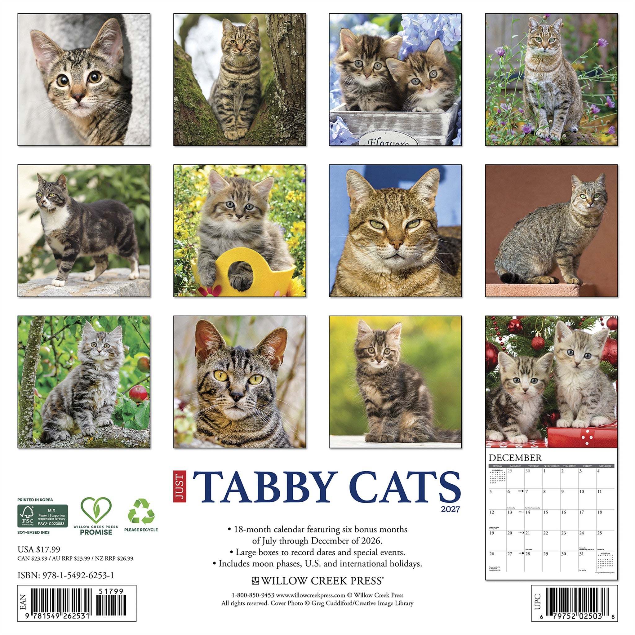 Tabby Cats 2027 Wall Calendar - Online Only