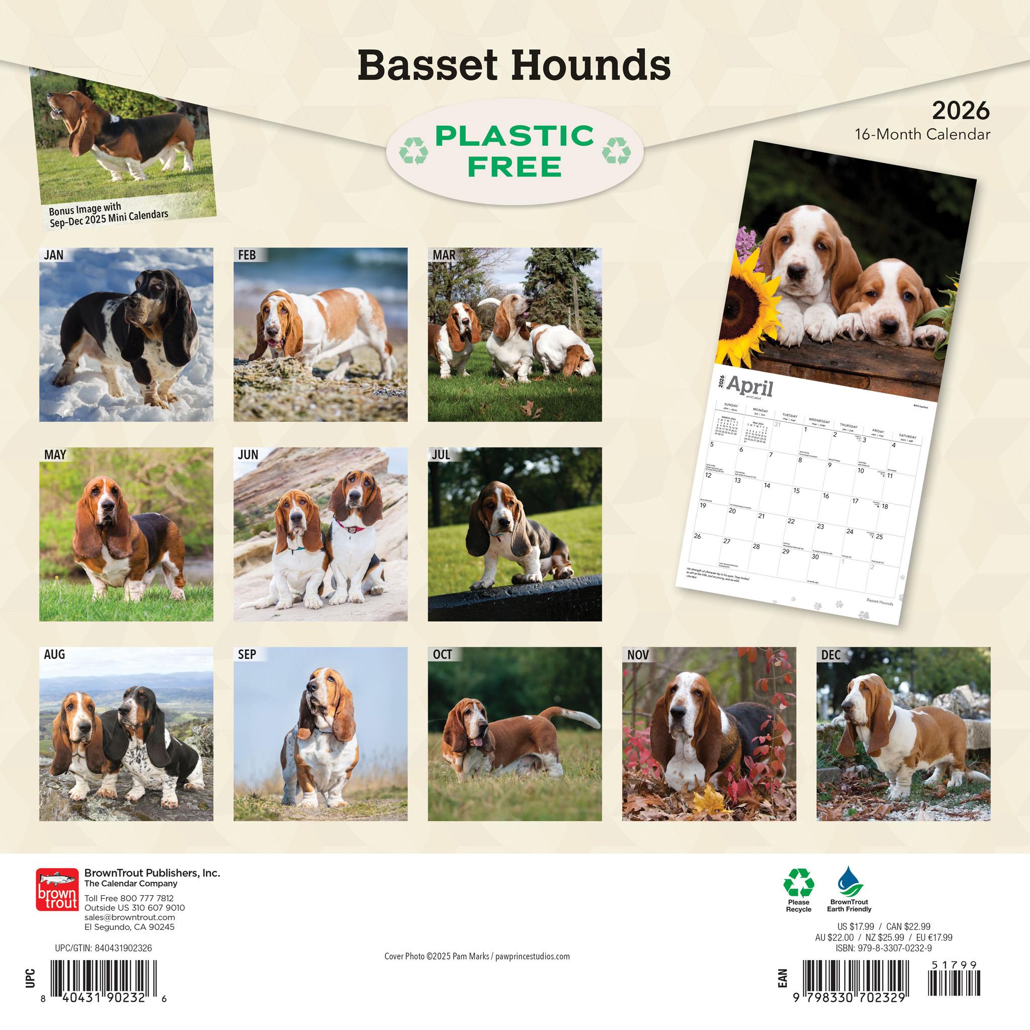 Basset Hounds 2026 Wall Calendar