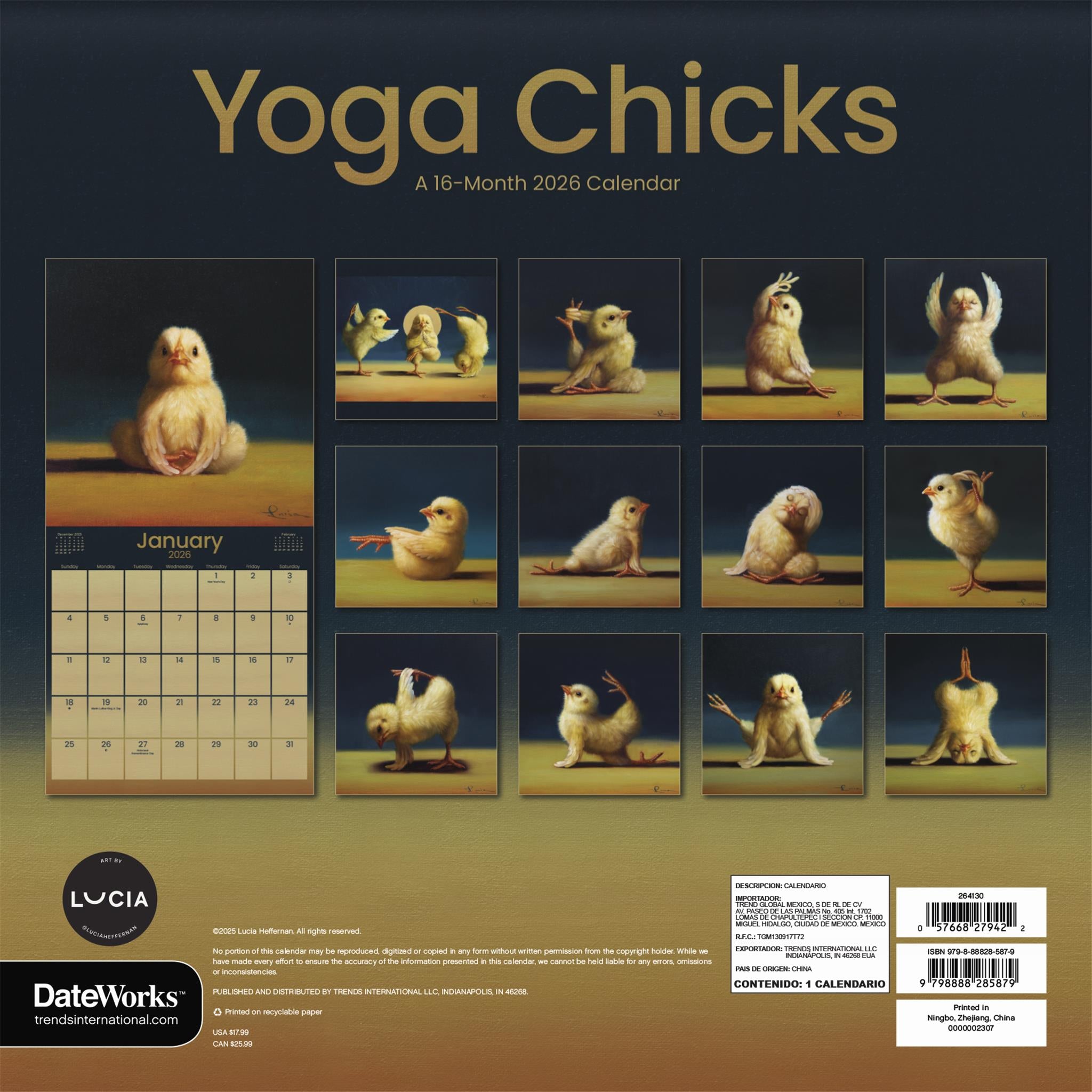 Yoga Chicks 2026 Wall Calendar