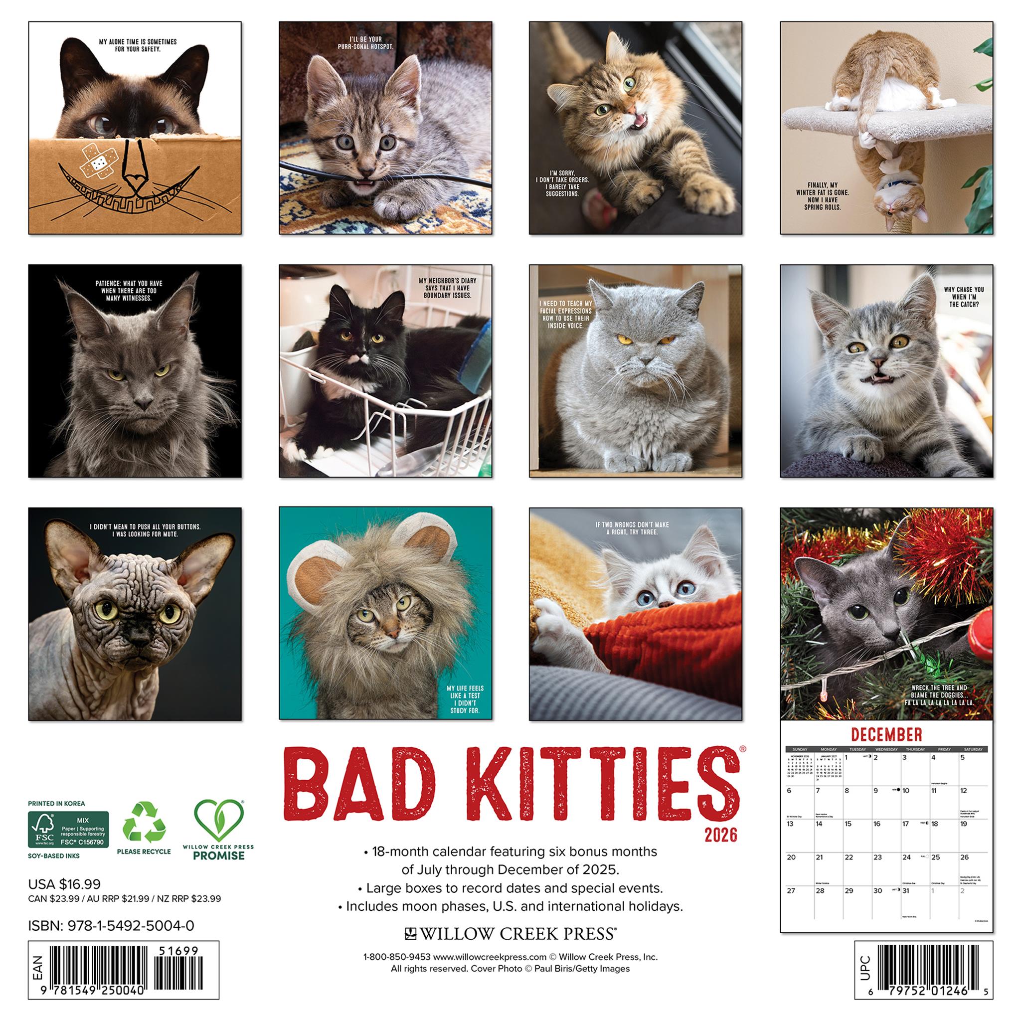 Bad Kitties 2026 Wall Calendar