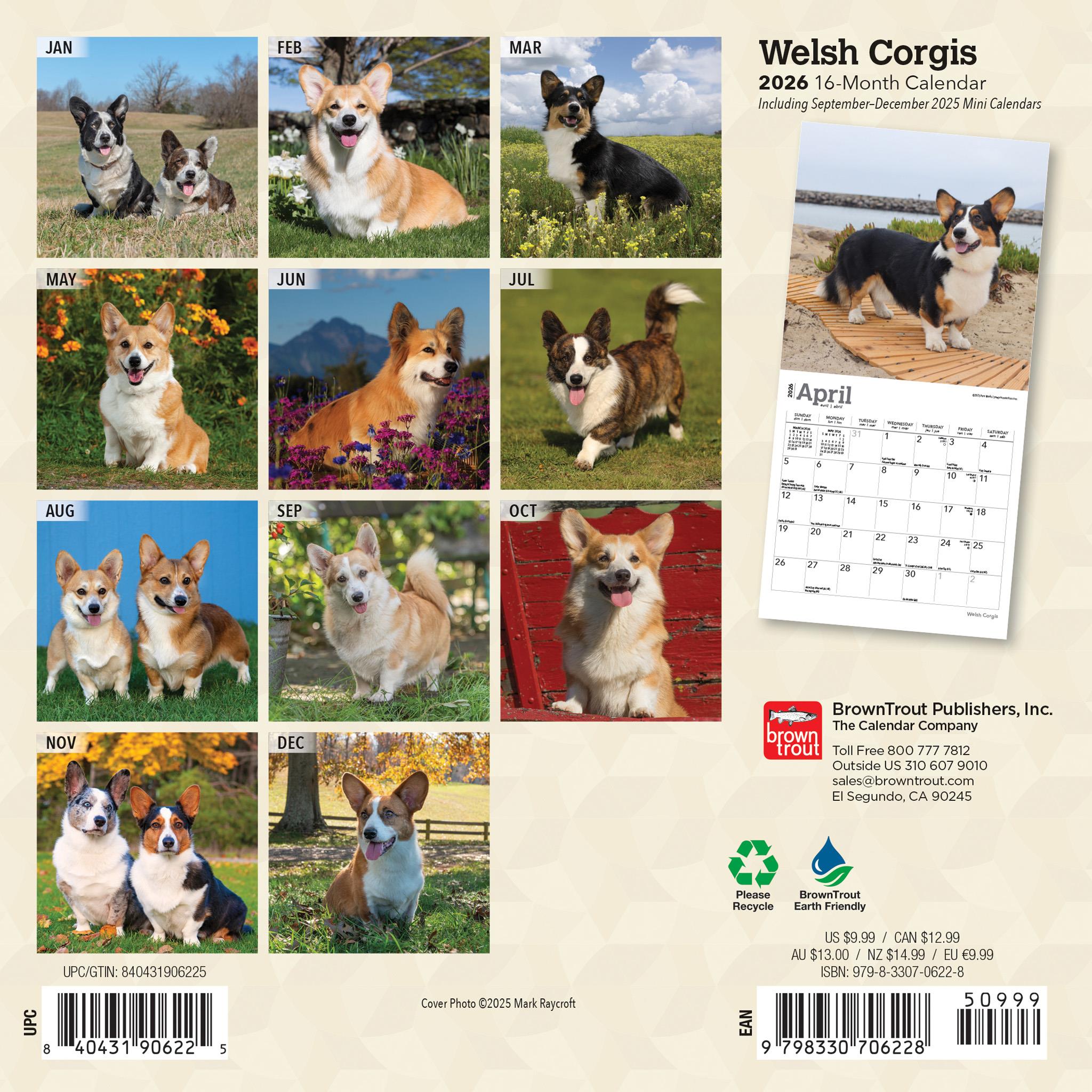 Welsh Corgis 2026 Mini Calendar