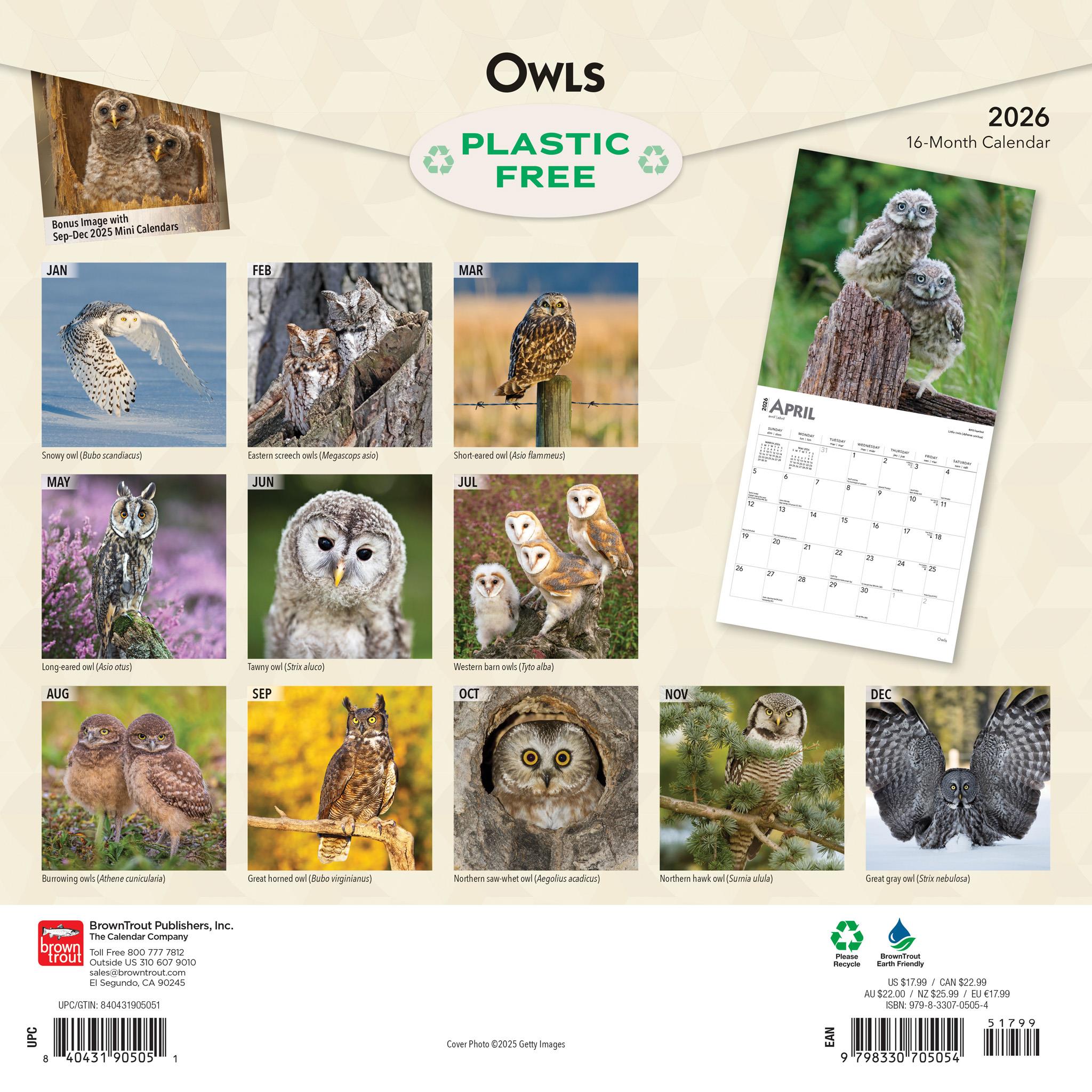 Owls 2026 Wall Calendar - Online Only