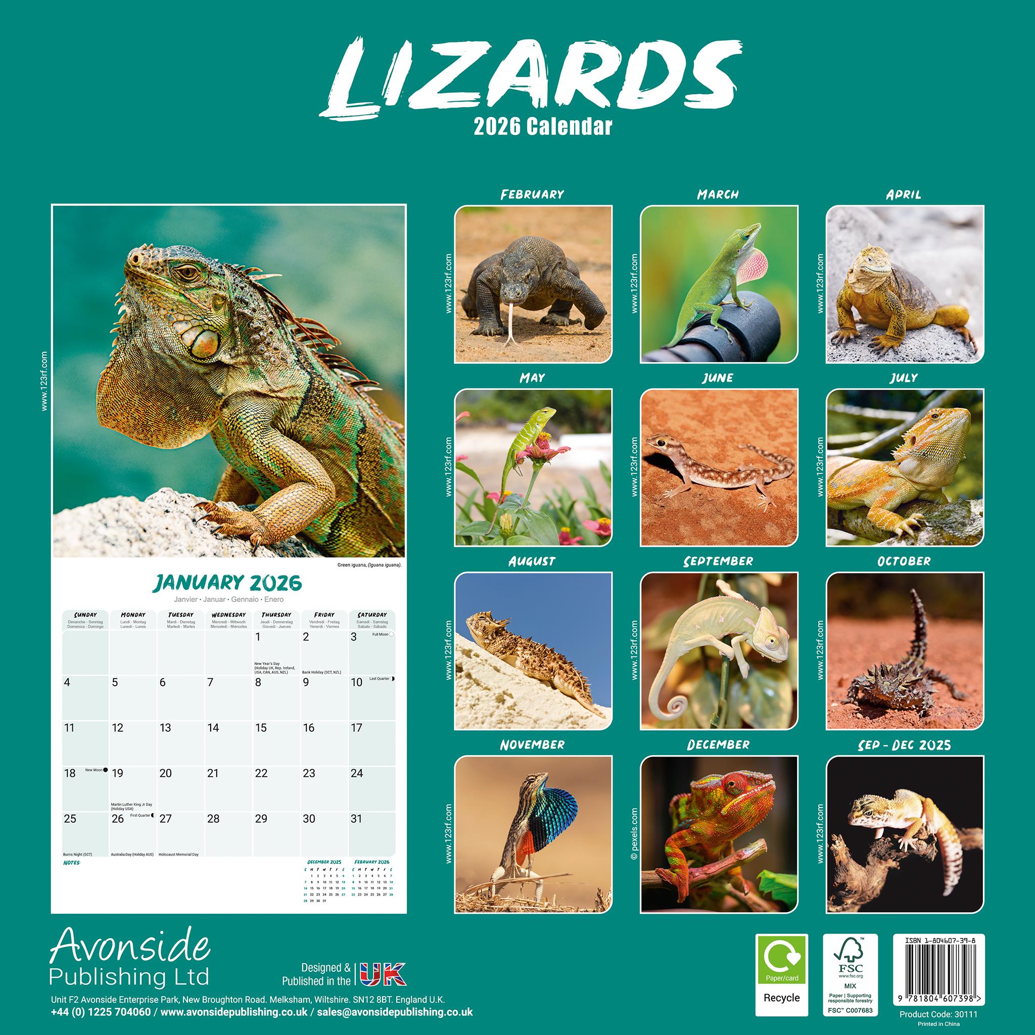 Lizards 2026 Wall Calendar