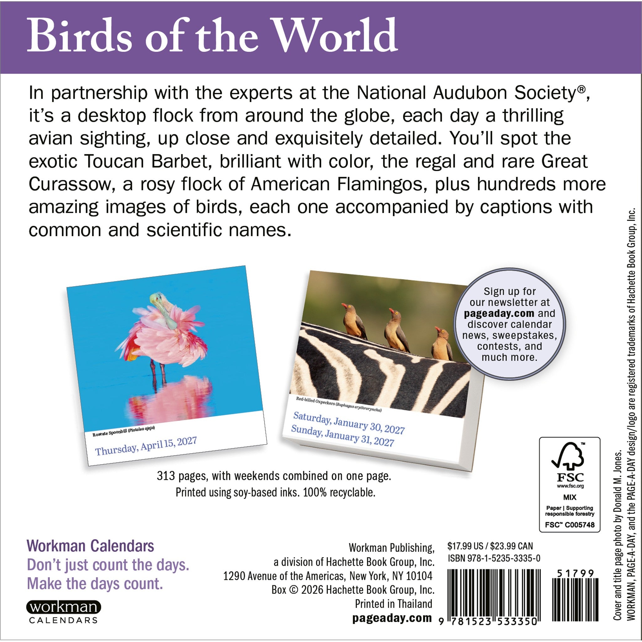 Audubon Birds 2027 Box Calendar