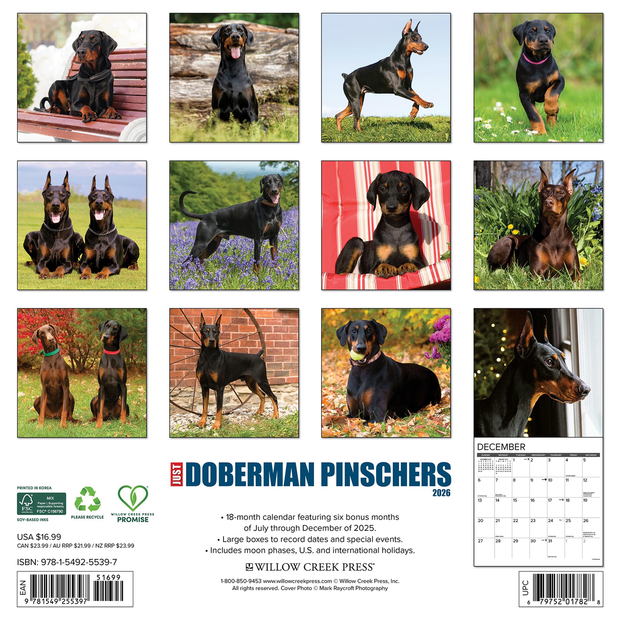 Just Doberman Pinschers 2026 Wall Calendar - Online Only