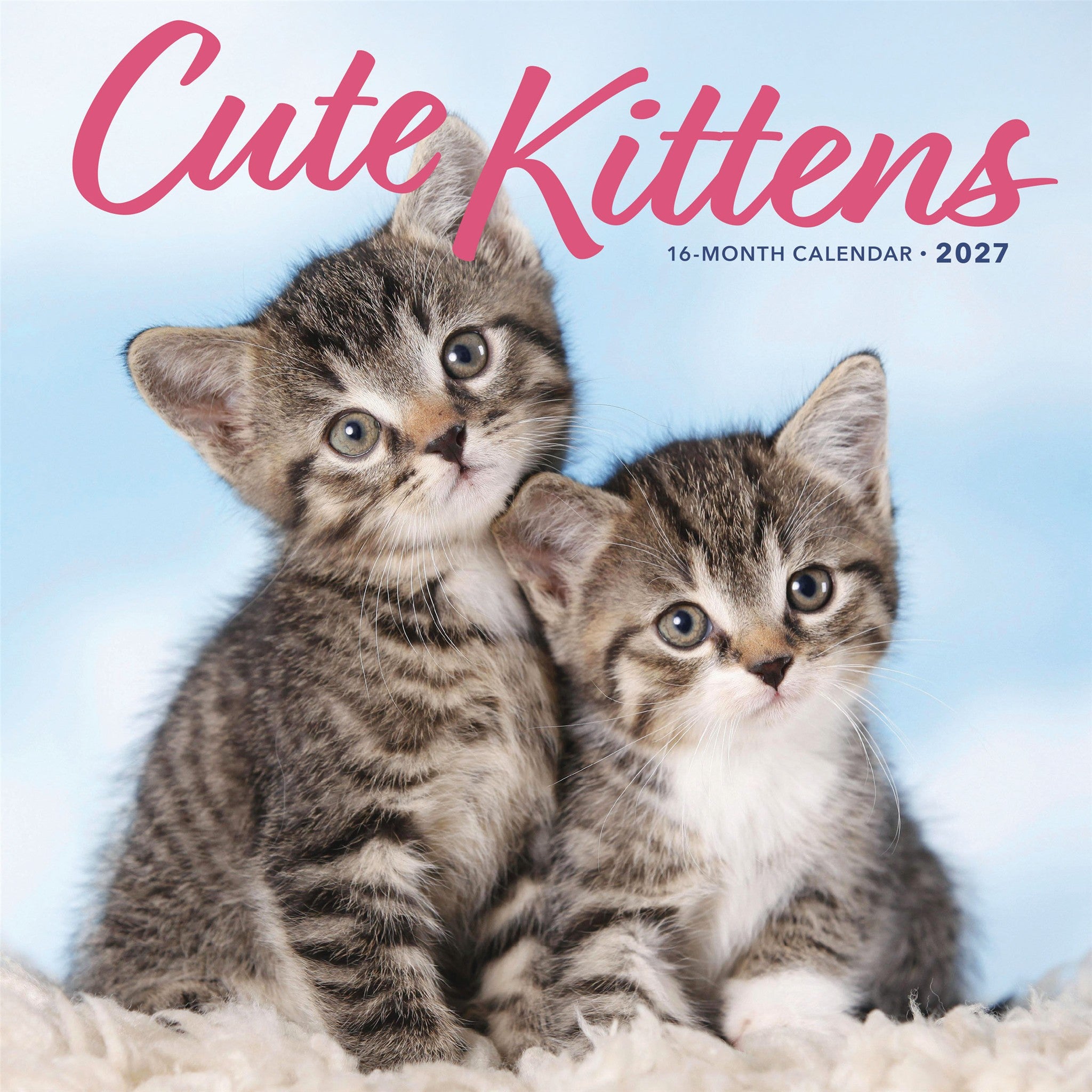 Cute Kittens 2027 Wall Calendar