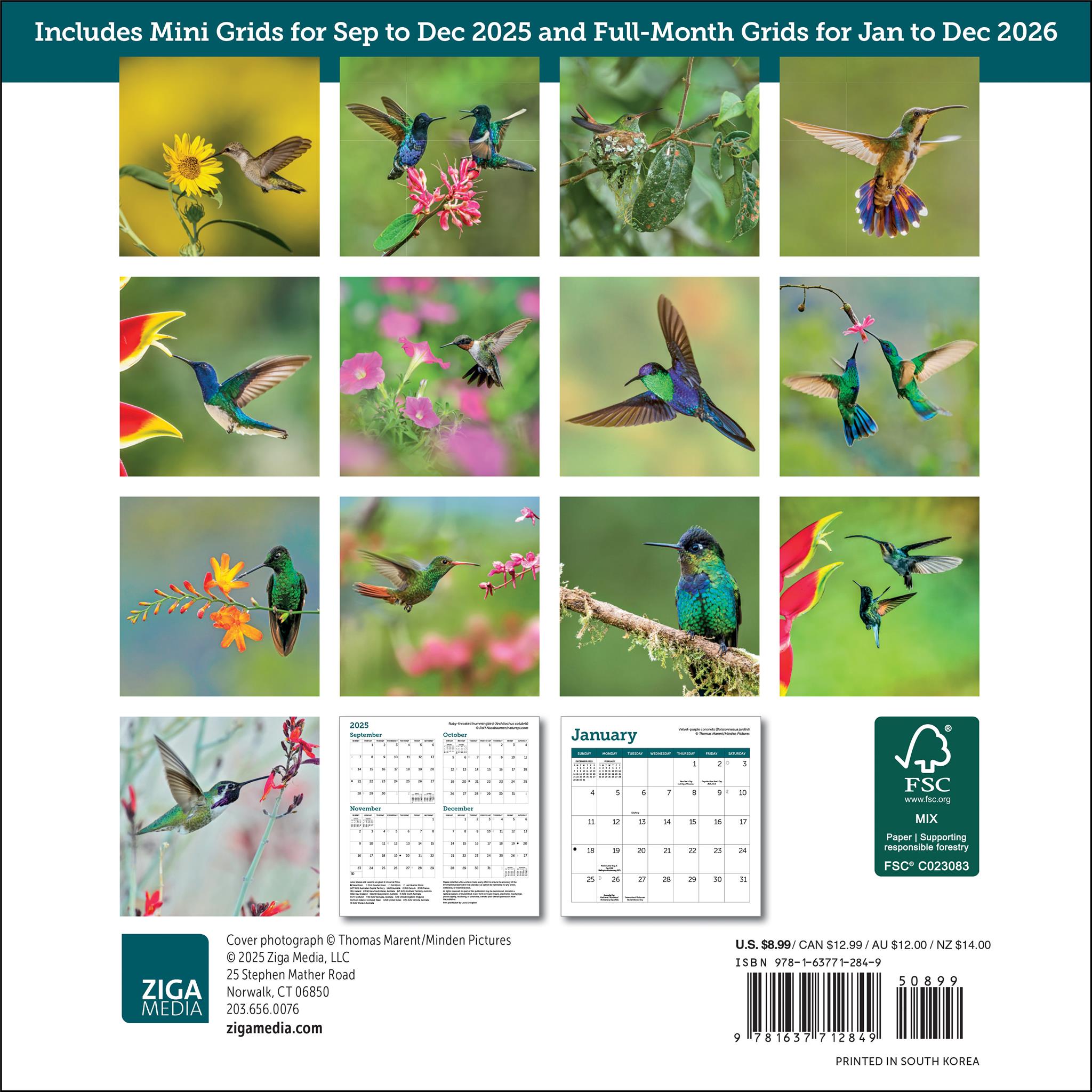 Hummingbirds 2026 Mini Calendar