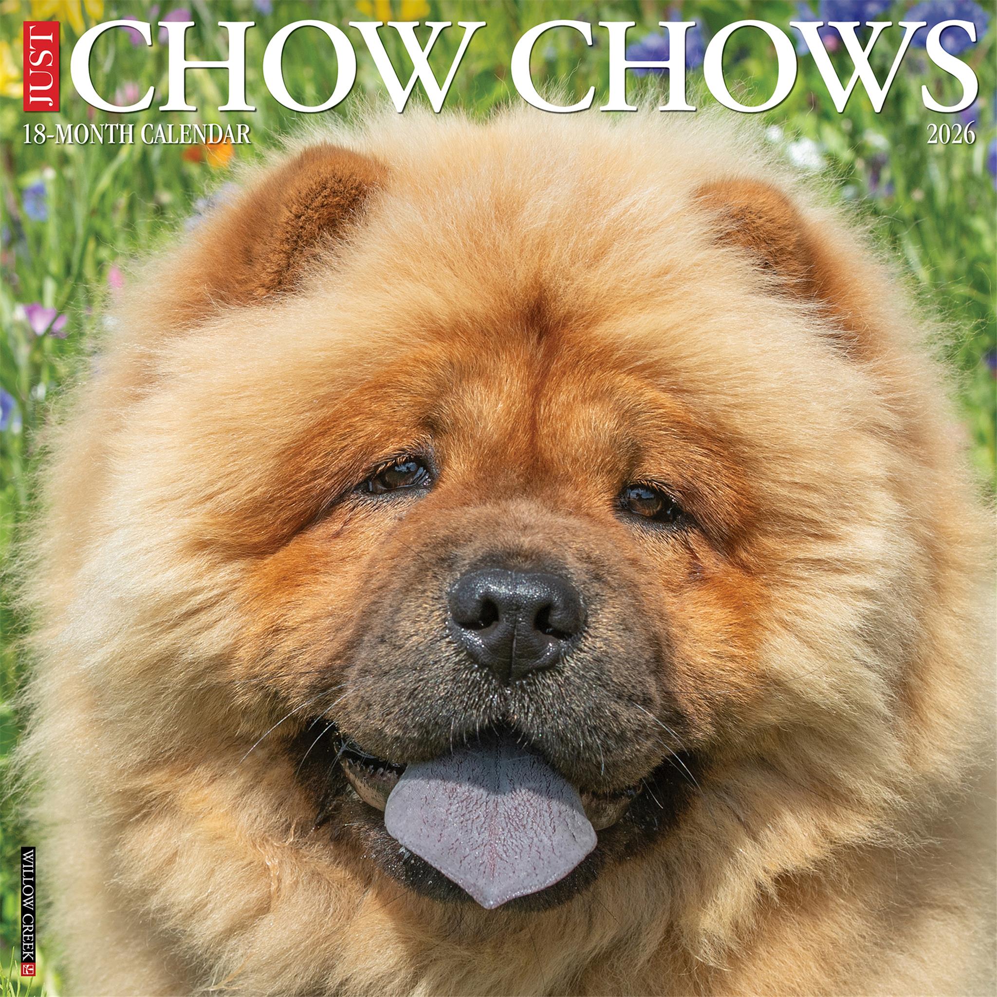Just Chow Chows 2026 Wall Calendar