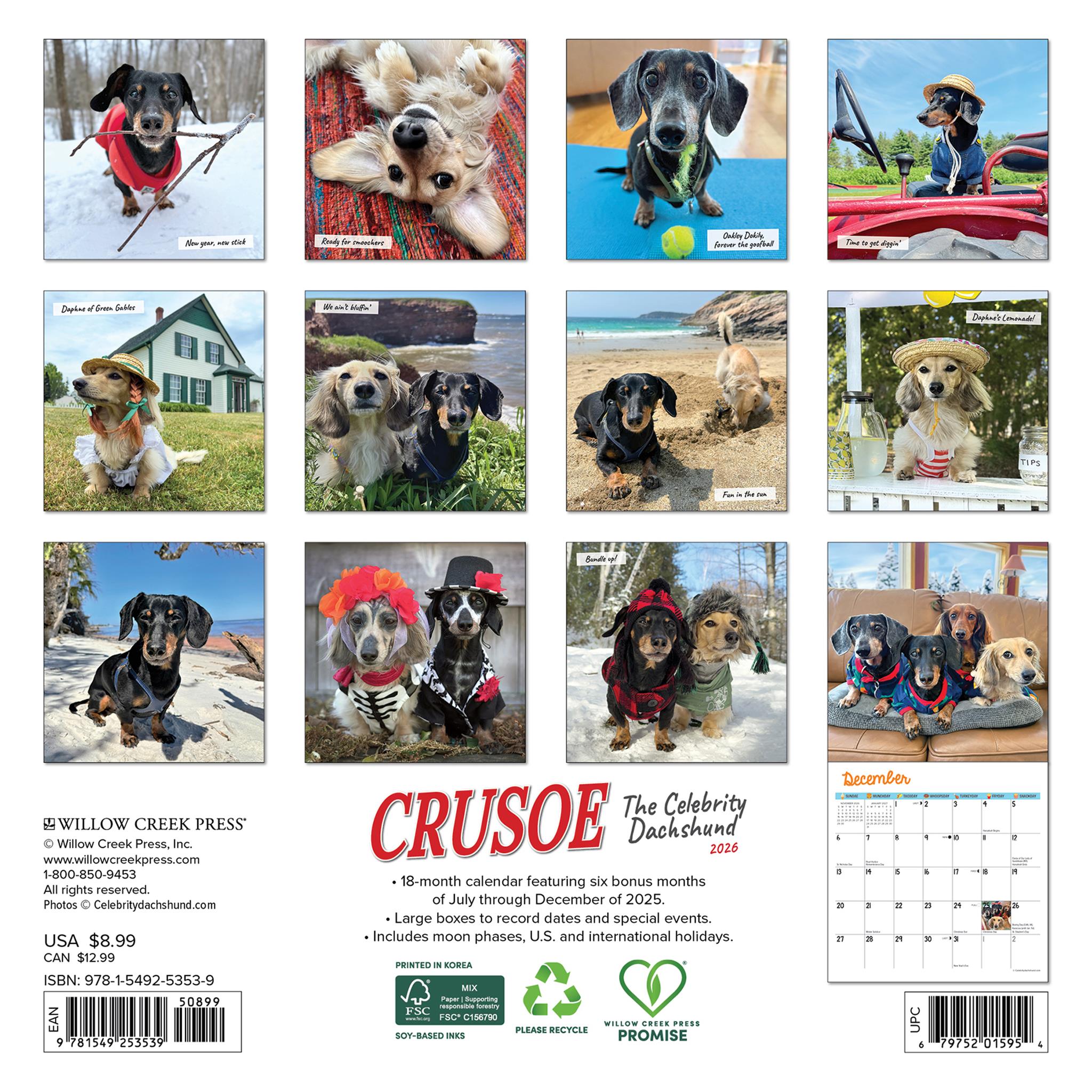 Crusoe Dachshund 2026 Mini Calendar