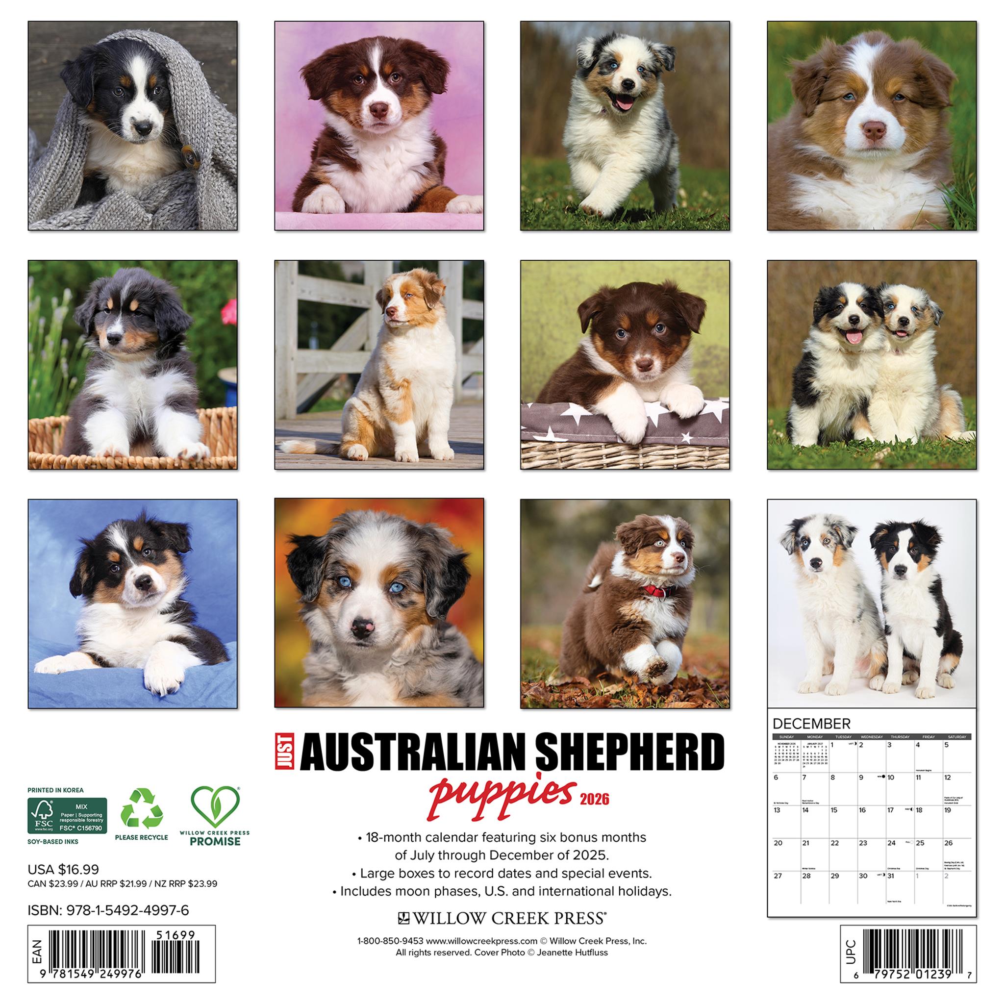 Just Australian Shepherd Puppies 2026 Wall Calendar