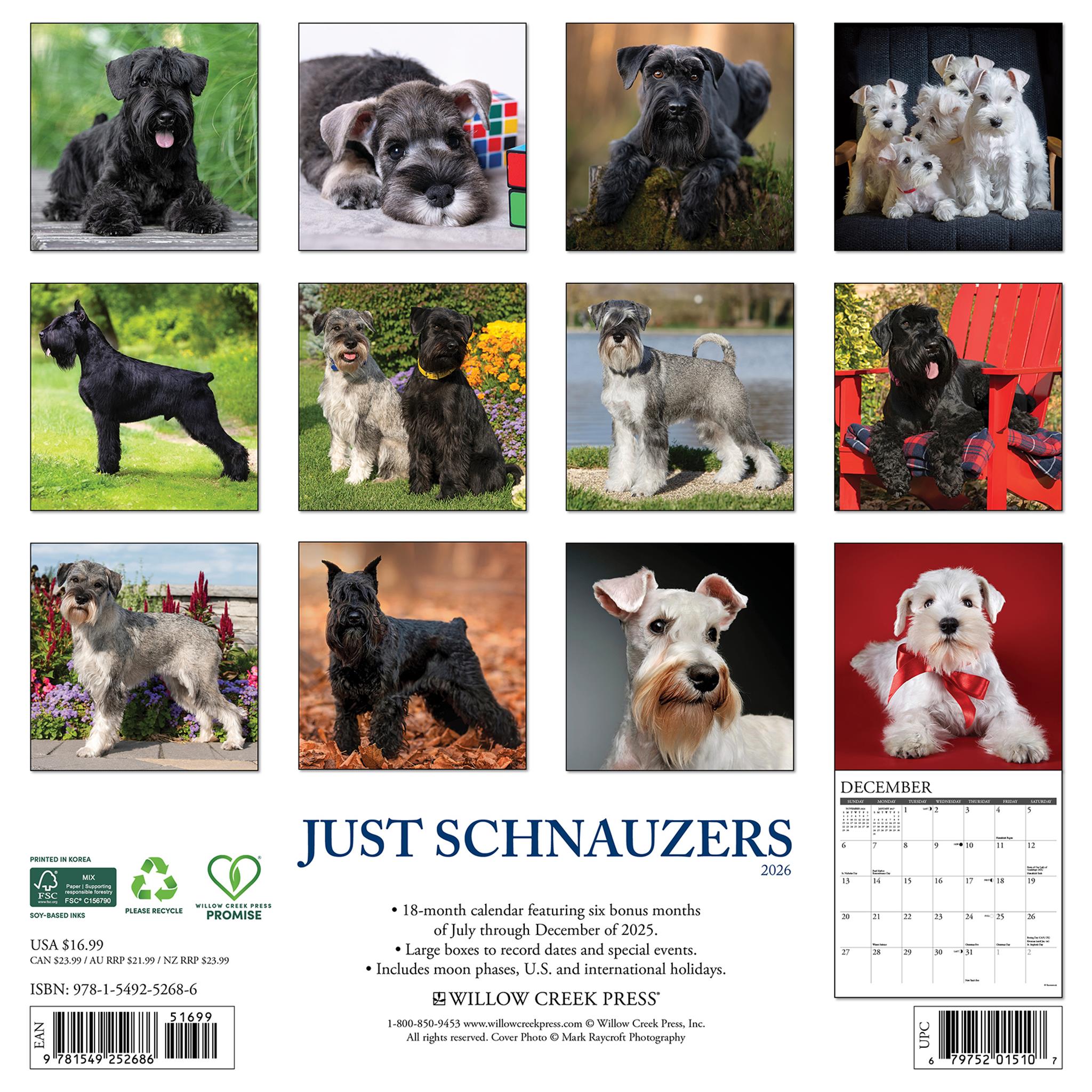 Schnauzers 2026 Just Wall Calendar - Online Only