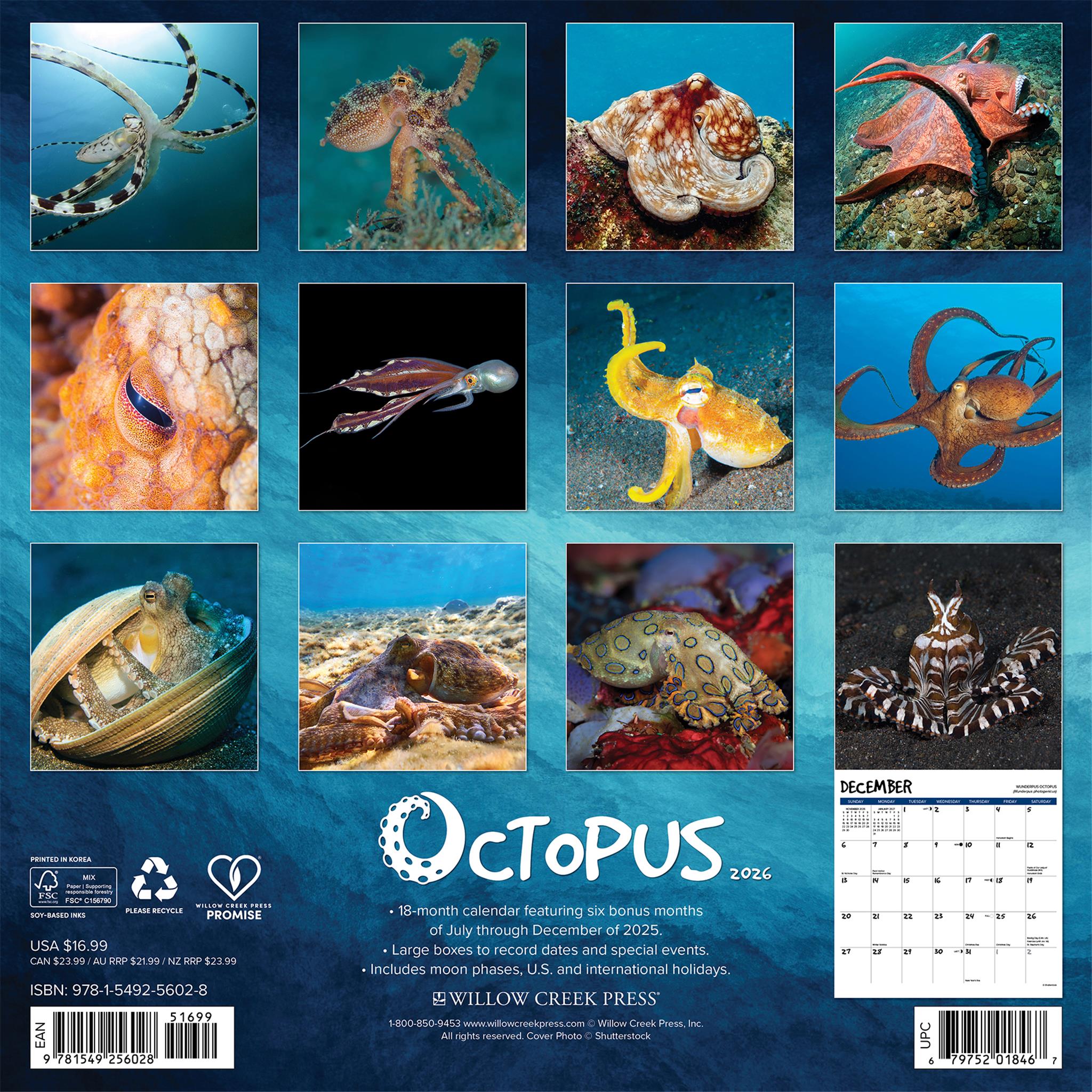 Octopus 2026 Wall Calendar