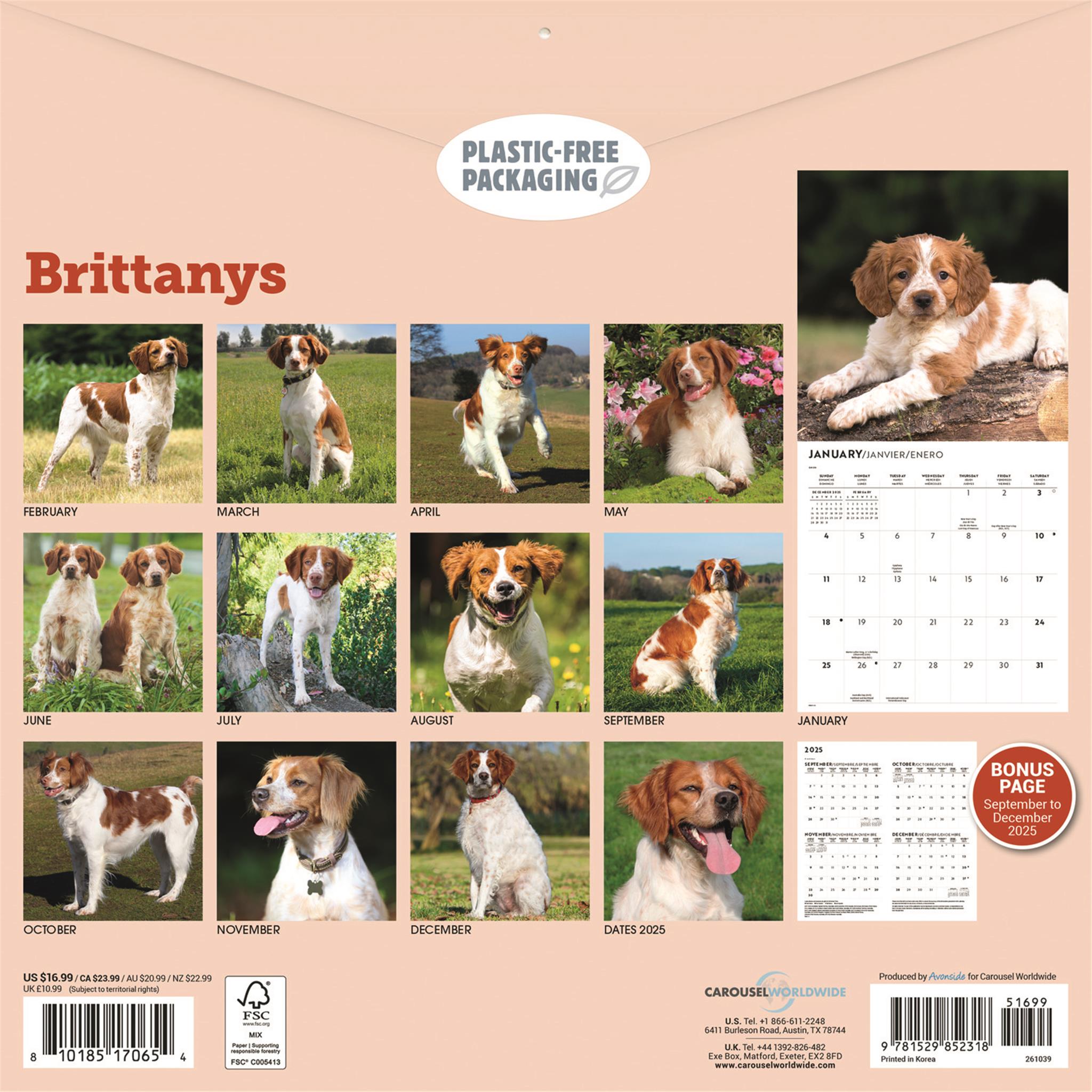 Brittanys 2026 Wall Calendar