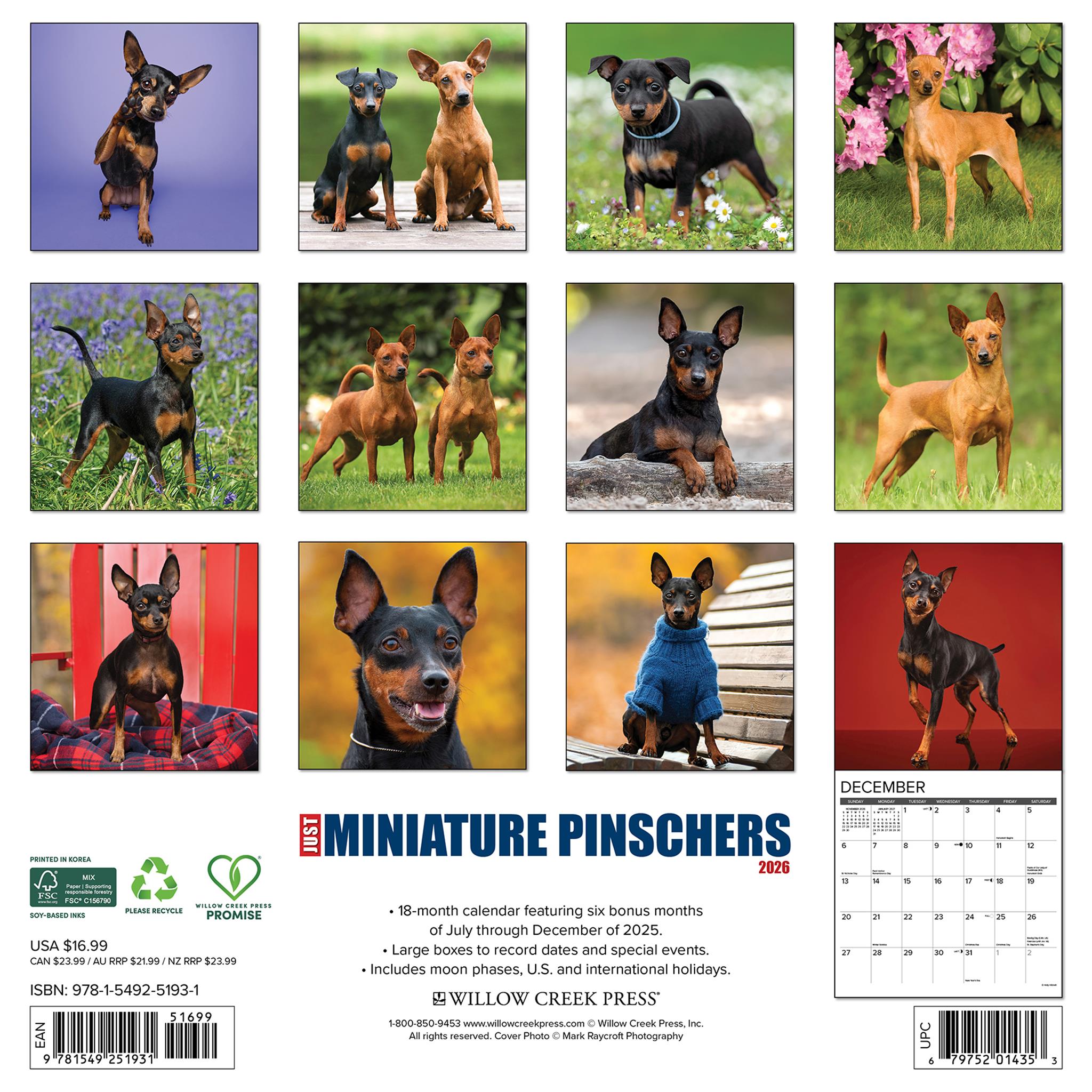 Miniature Pinschers 2026 Just Wall Calendar - Online Only