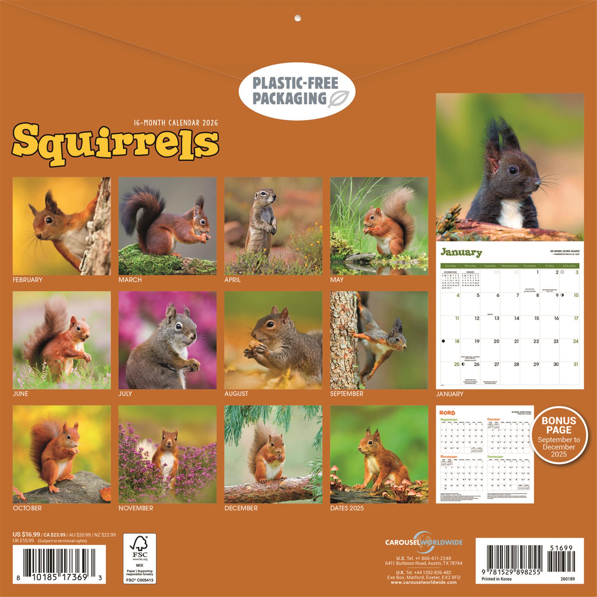 Squirrels 2026 Wall Calendar