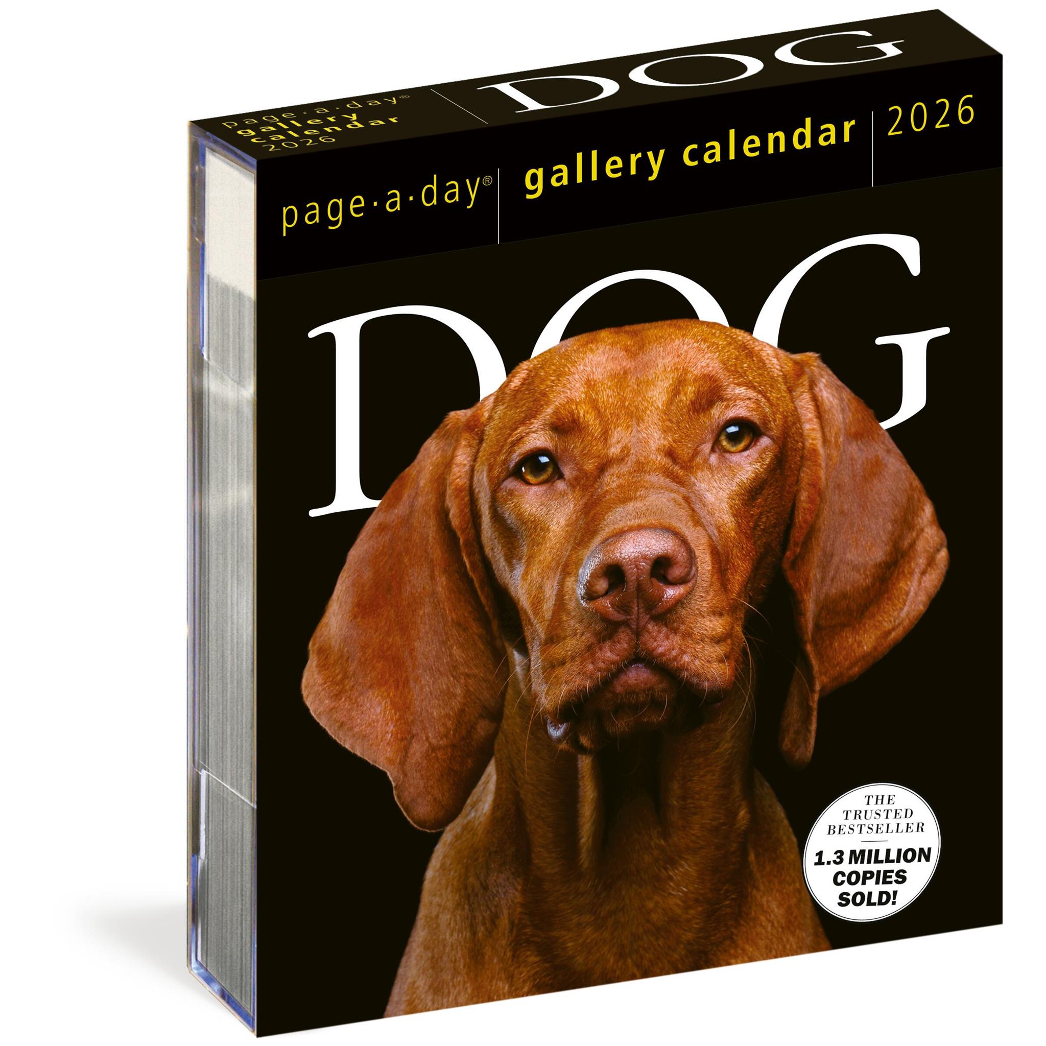 Dog Gallery 2026 Box Calendar