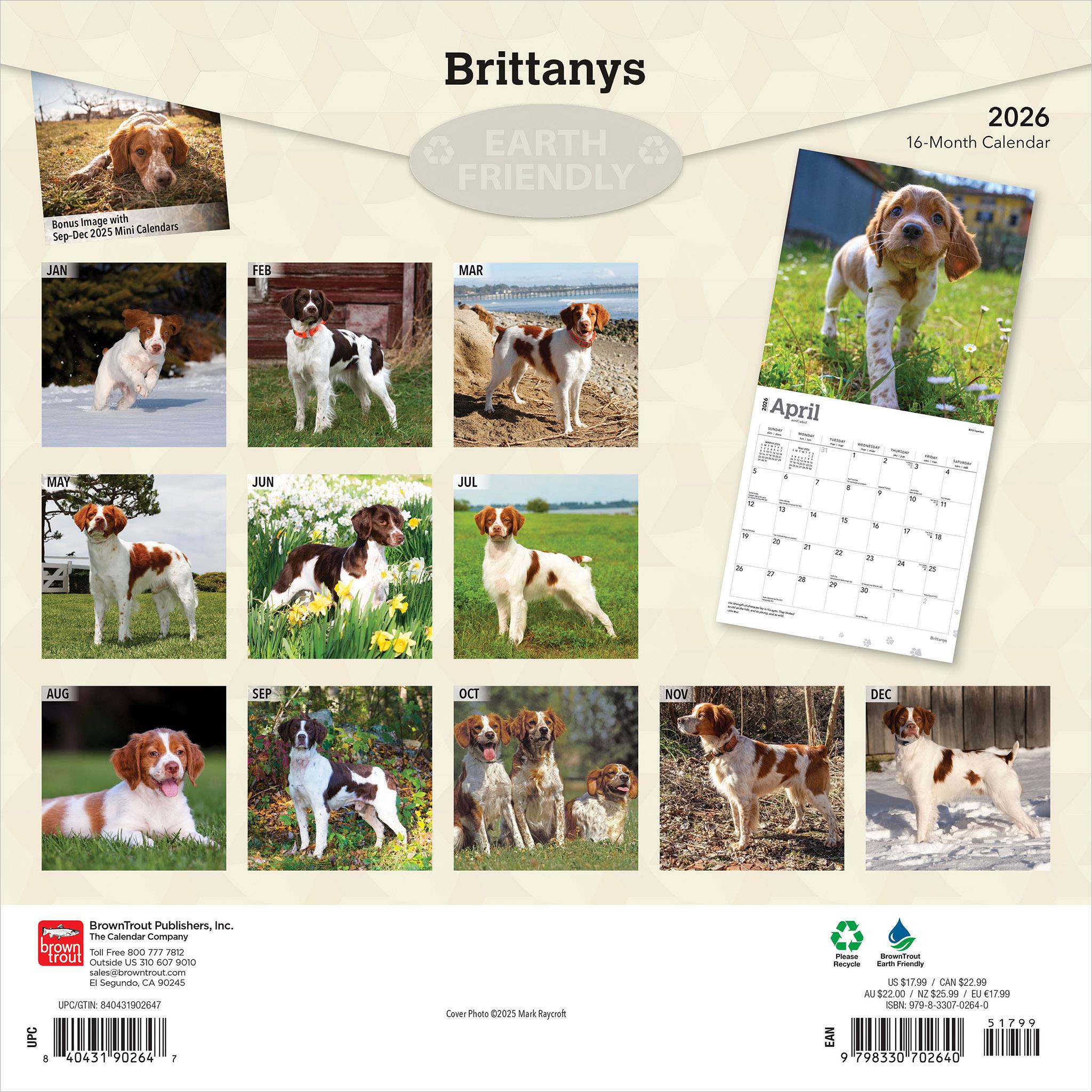 Brittanys 2026 Wall Calendar - Online Only