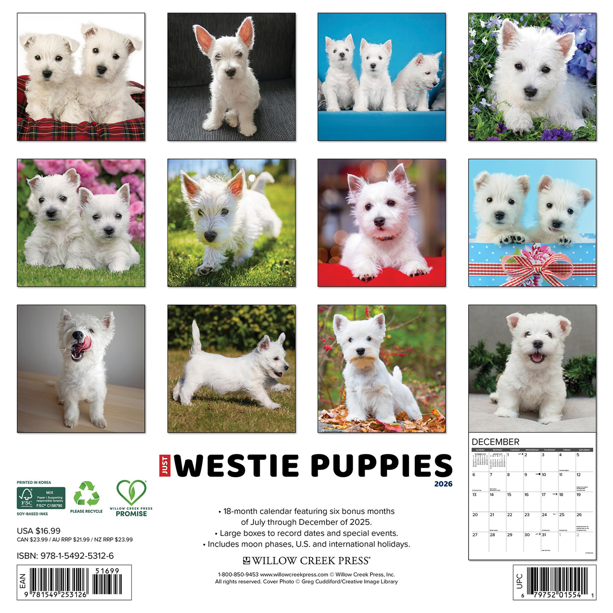 Westie Puppies 2026 Wall Calendar - Online Only